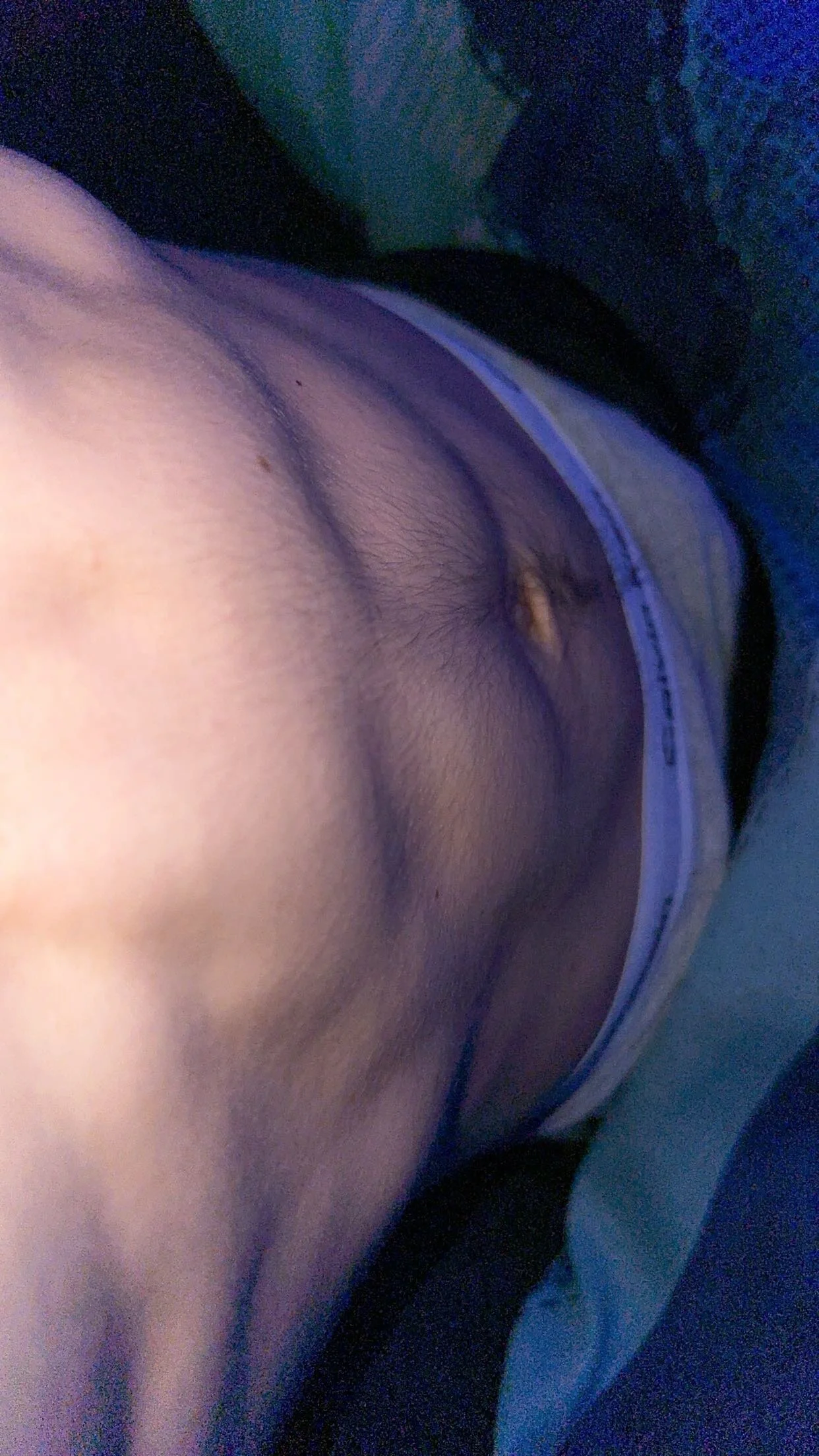 XXX Porn Photo of Nude Bowcatlover 9