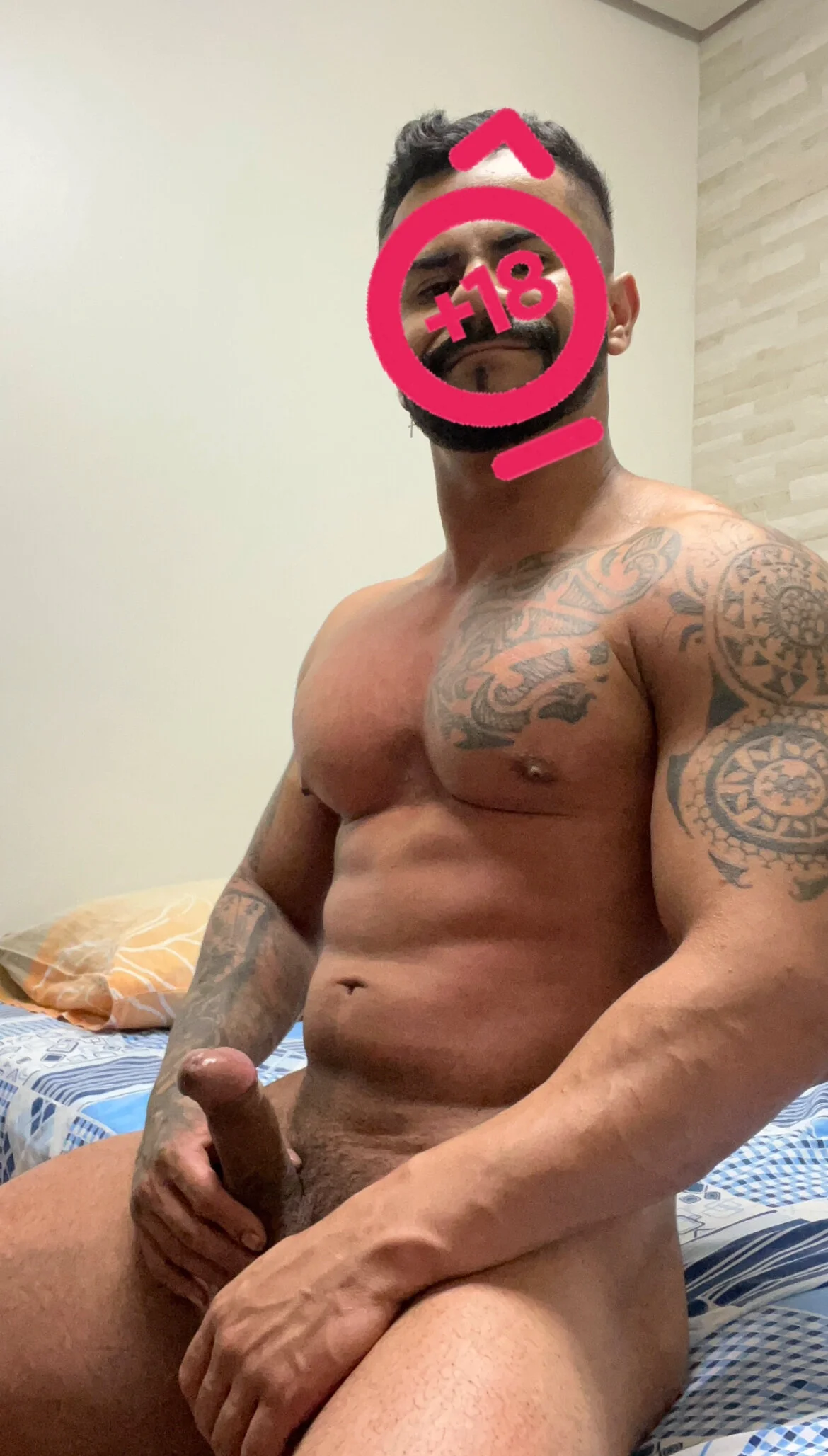 XXX Porn Photo of Nude morenotatudo18cm 1