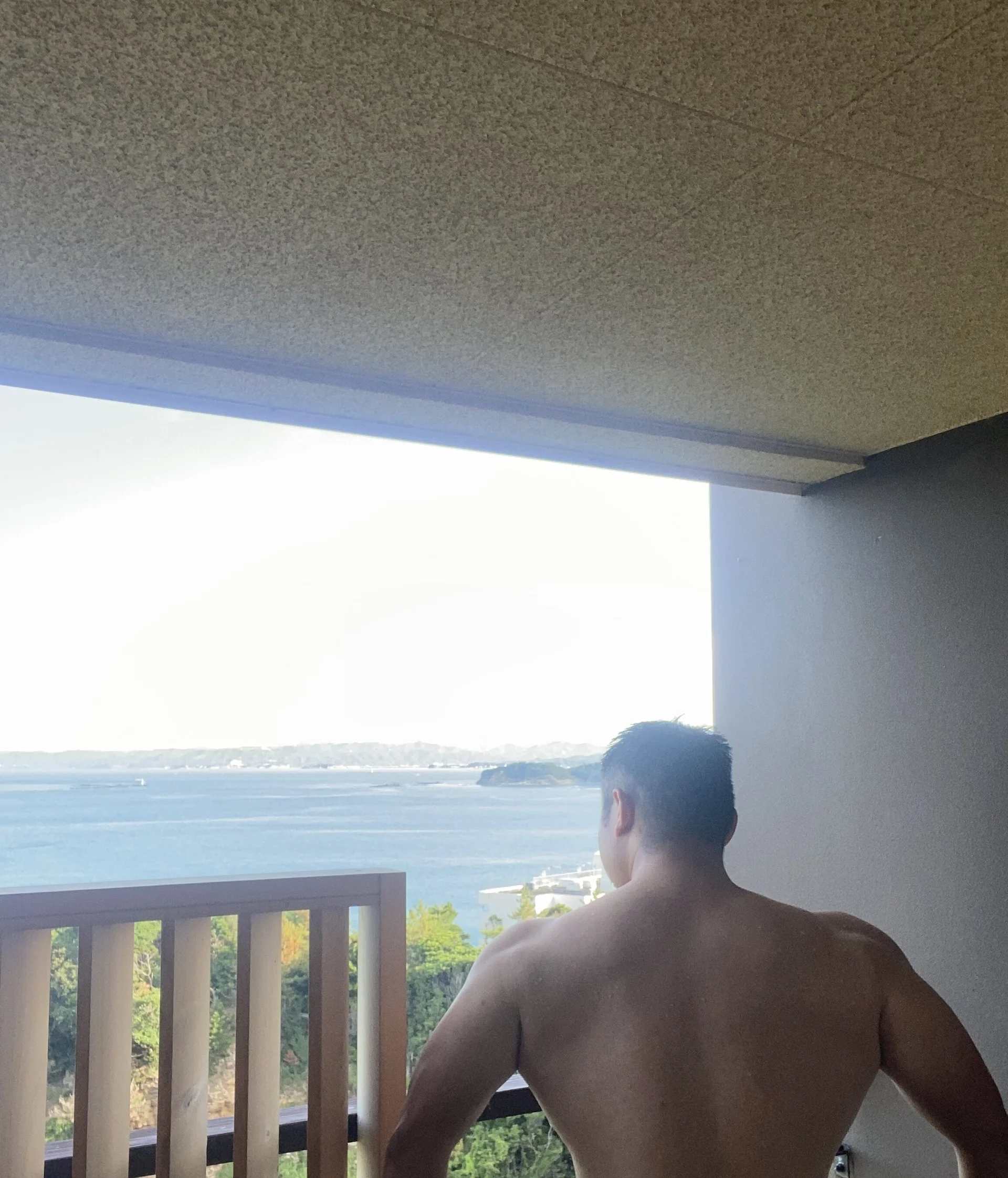sukebegorilla