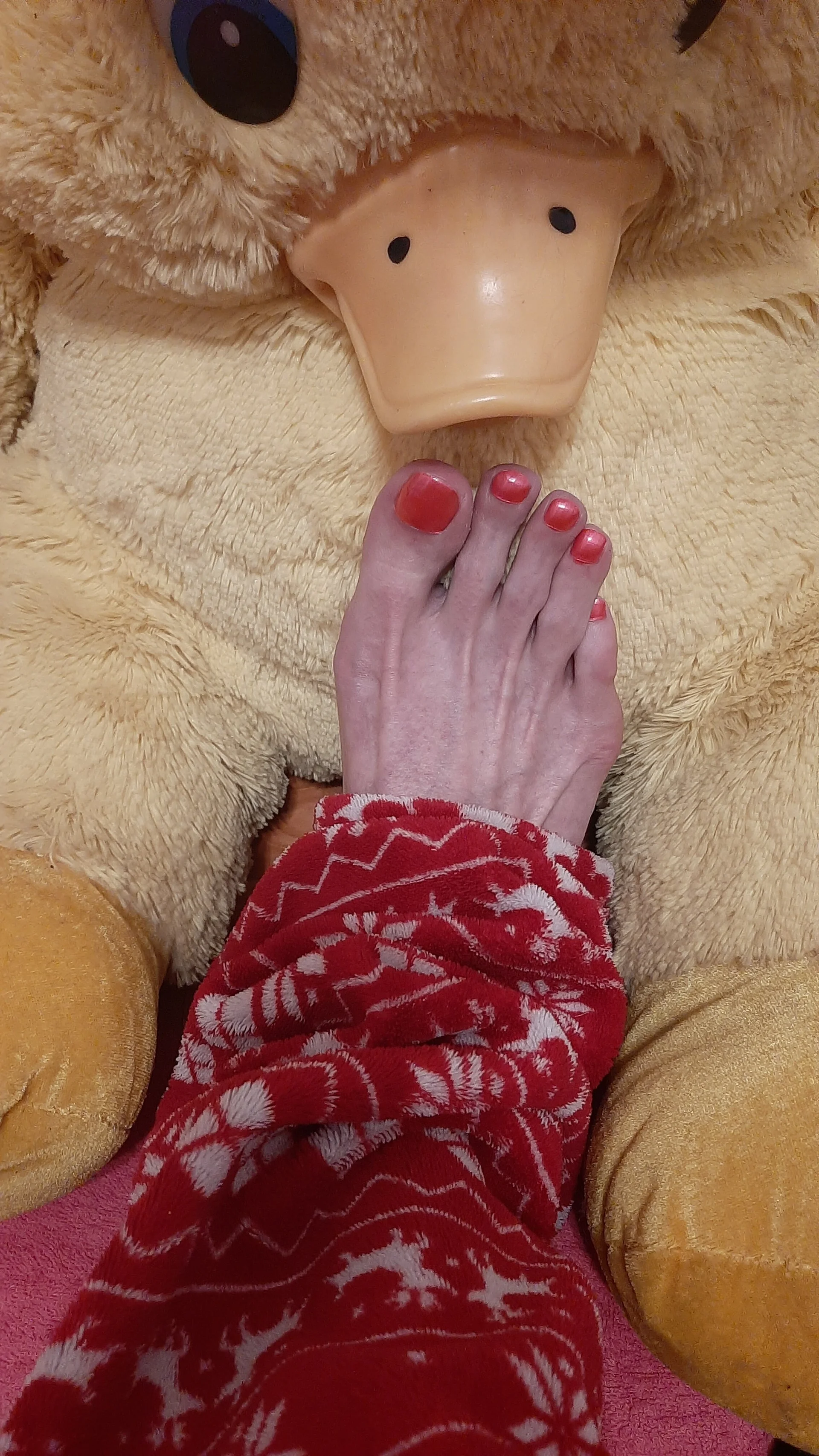 XXX Porn Photo of Nude feet_toes 30
