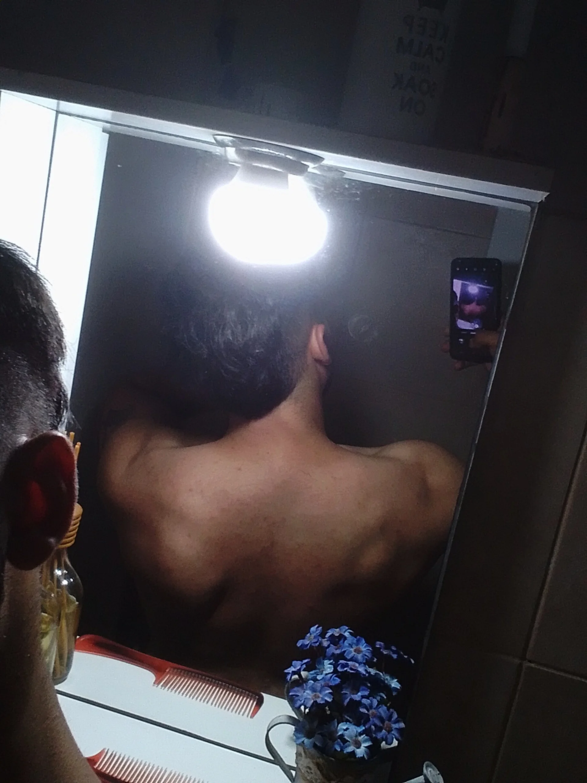 Elvismaximo