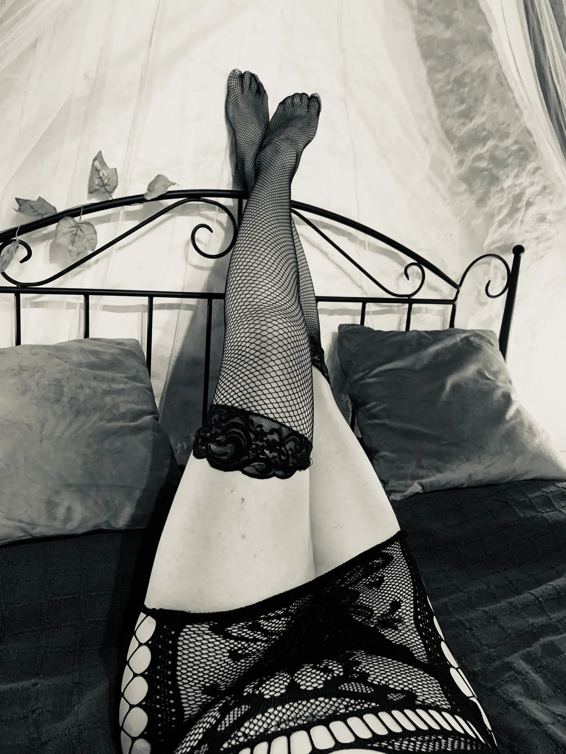 XXX Porn Photo of Nude Sexy_Nicolette_Dutch 5