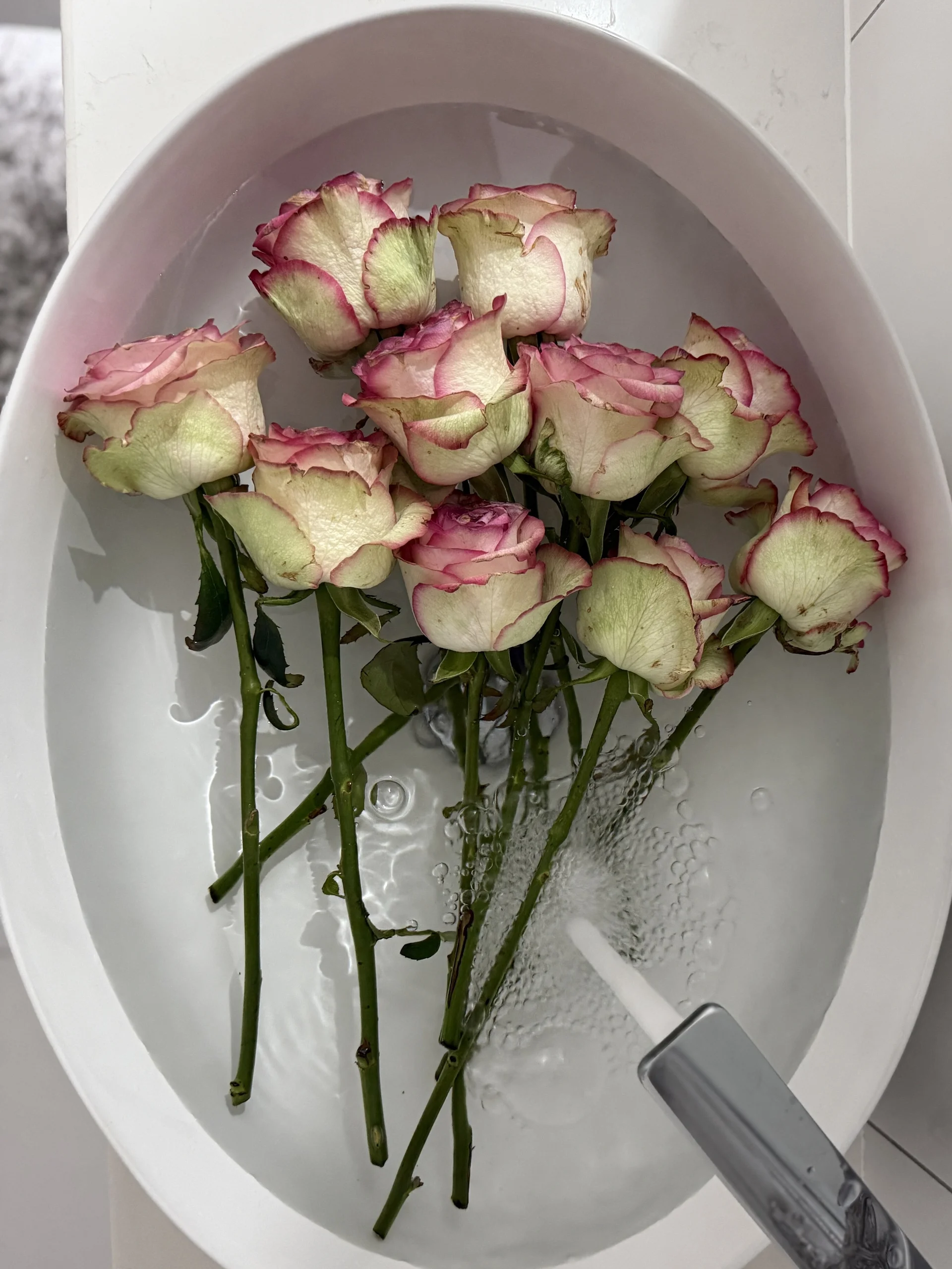 XXX Porn Photo of Nude PetalsAndKeys 9