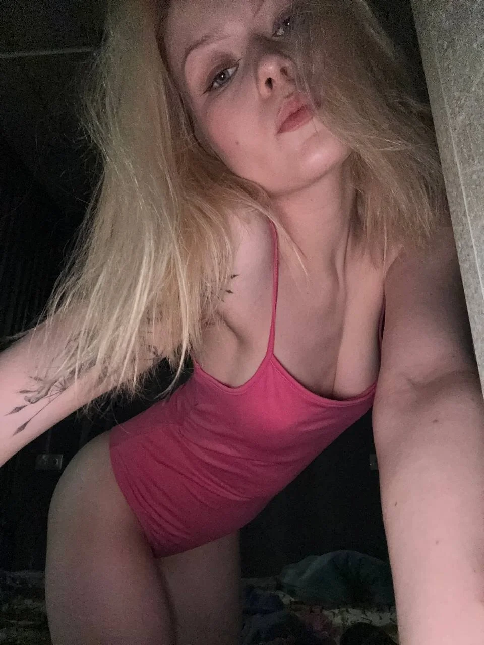 Callista_a