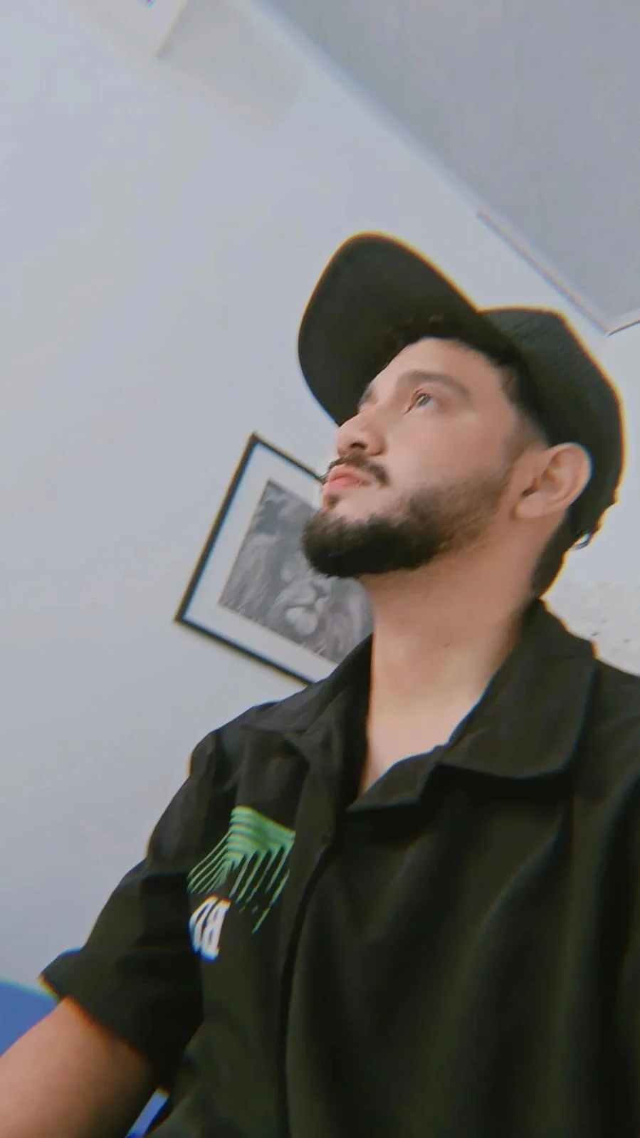 Enzo_fox