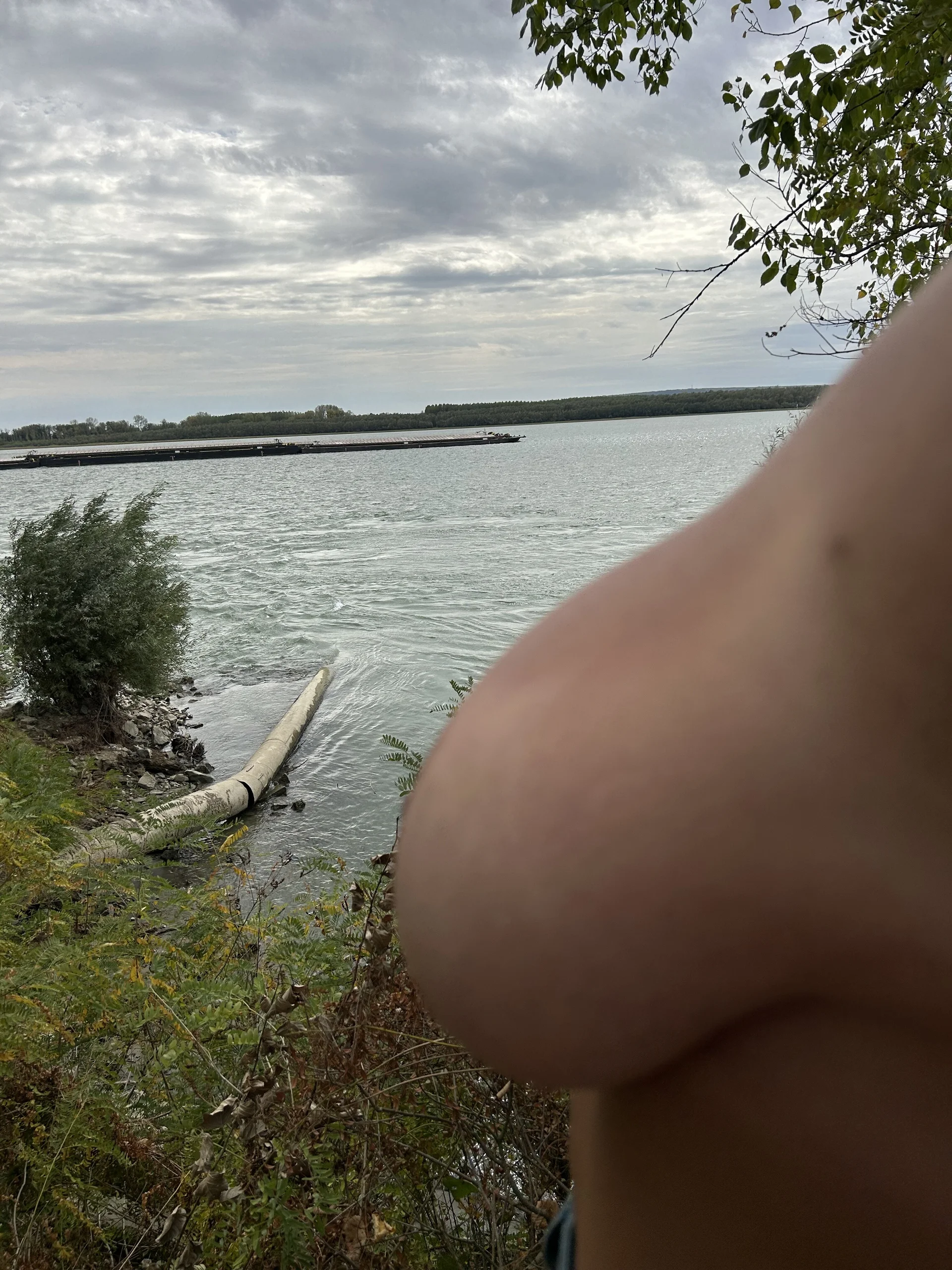 XXX Porn Photo of Nude MikyVesela 146