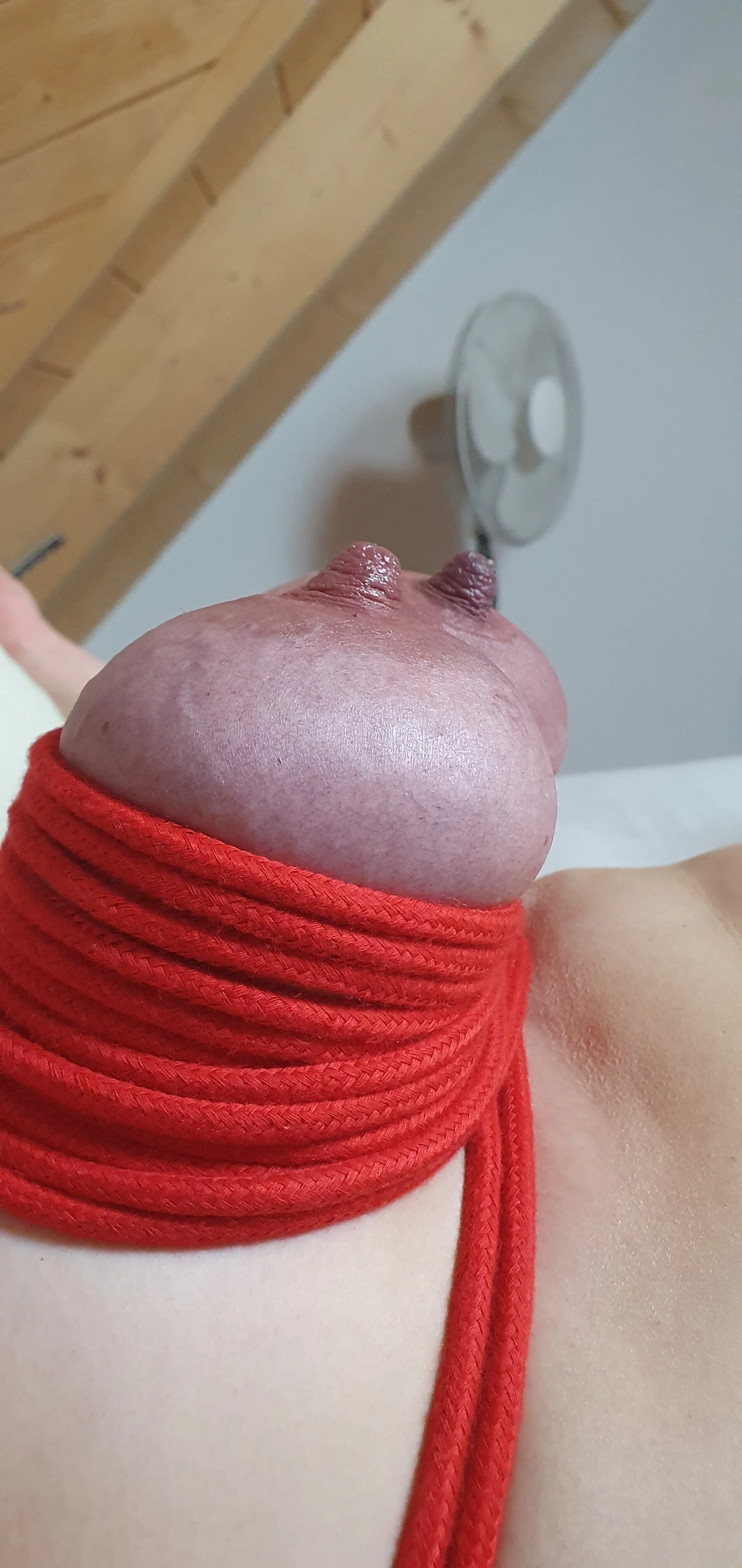 XXX Porn Photo of Nude Hot_Milf_Denise 23