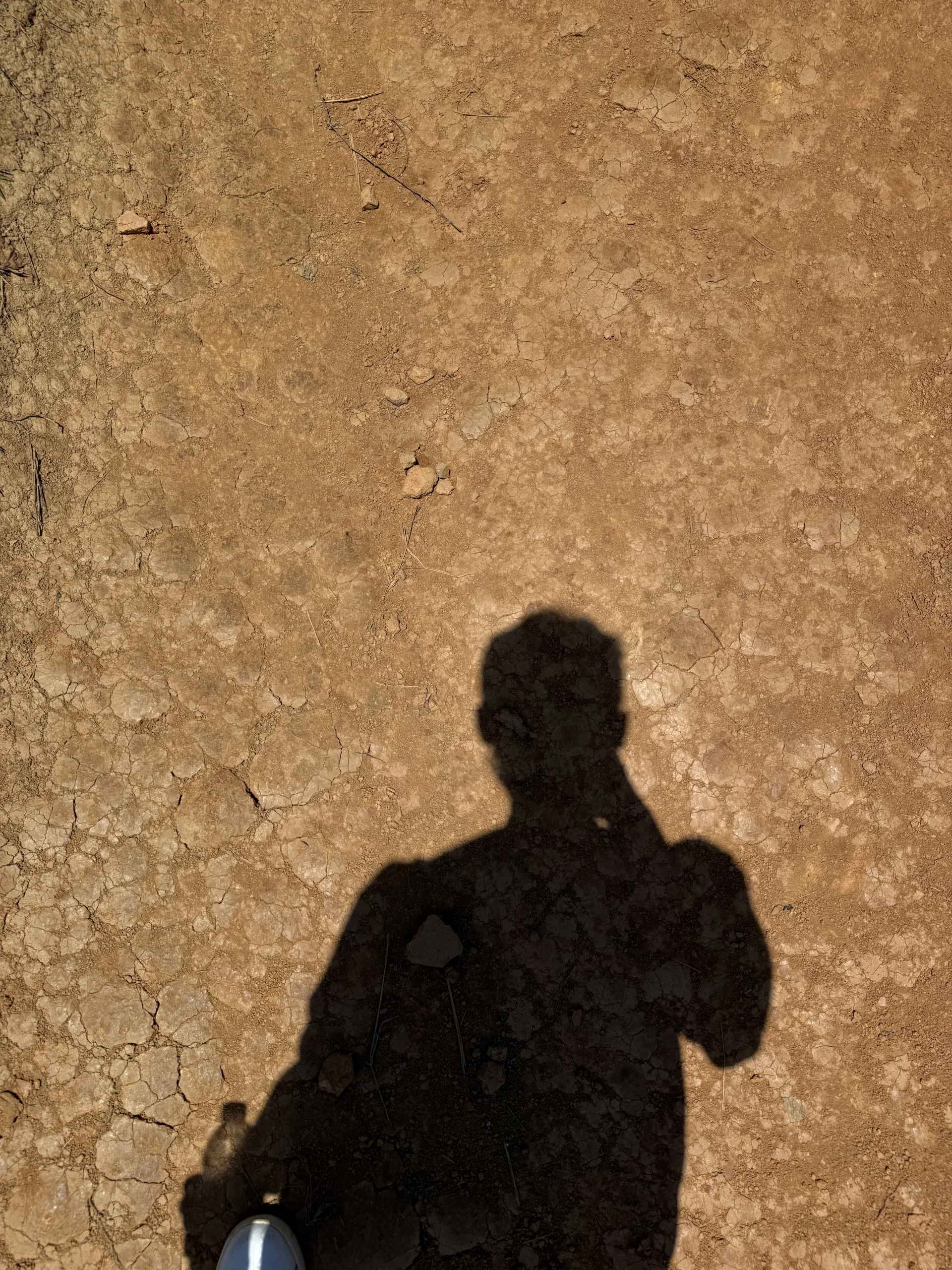 XXX Porn Photo of Nude LatinsantiX 4