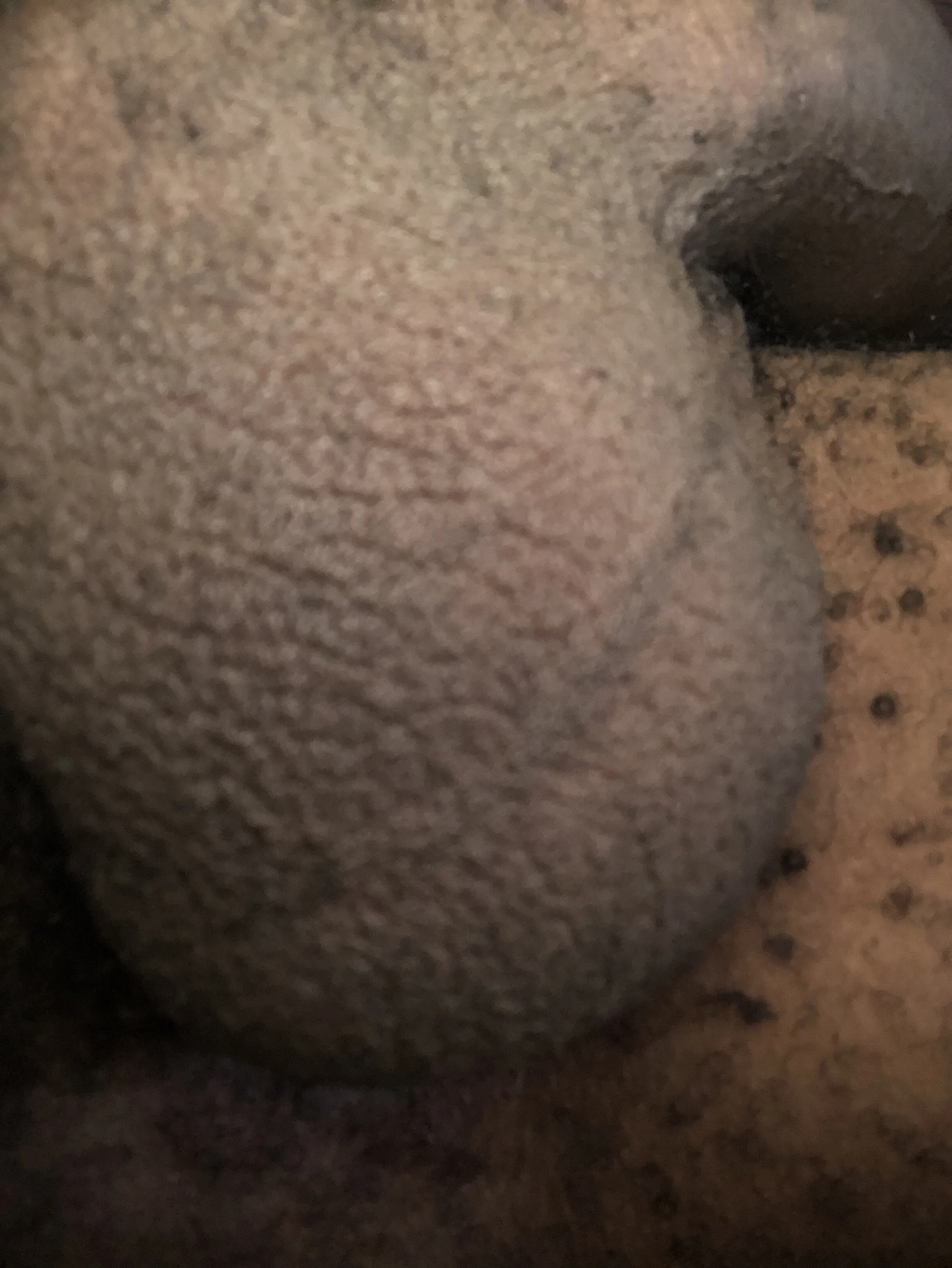 XXX Porn Photo of Nude MzansiMonster 5