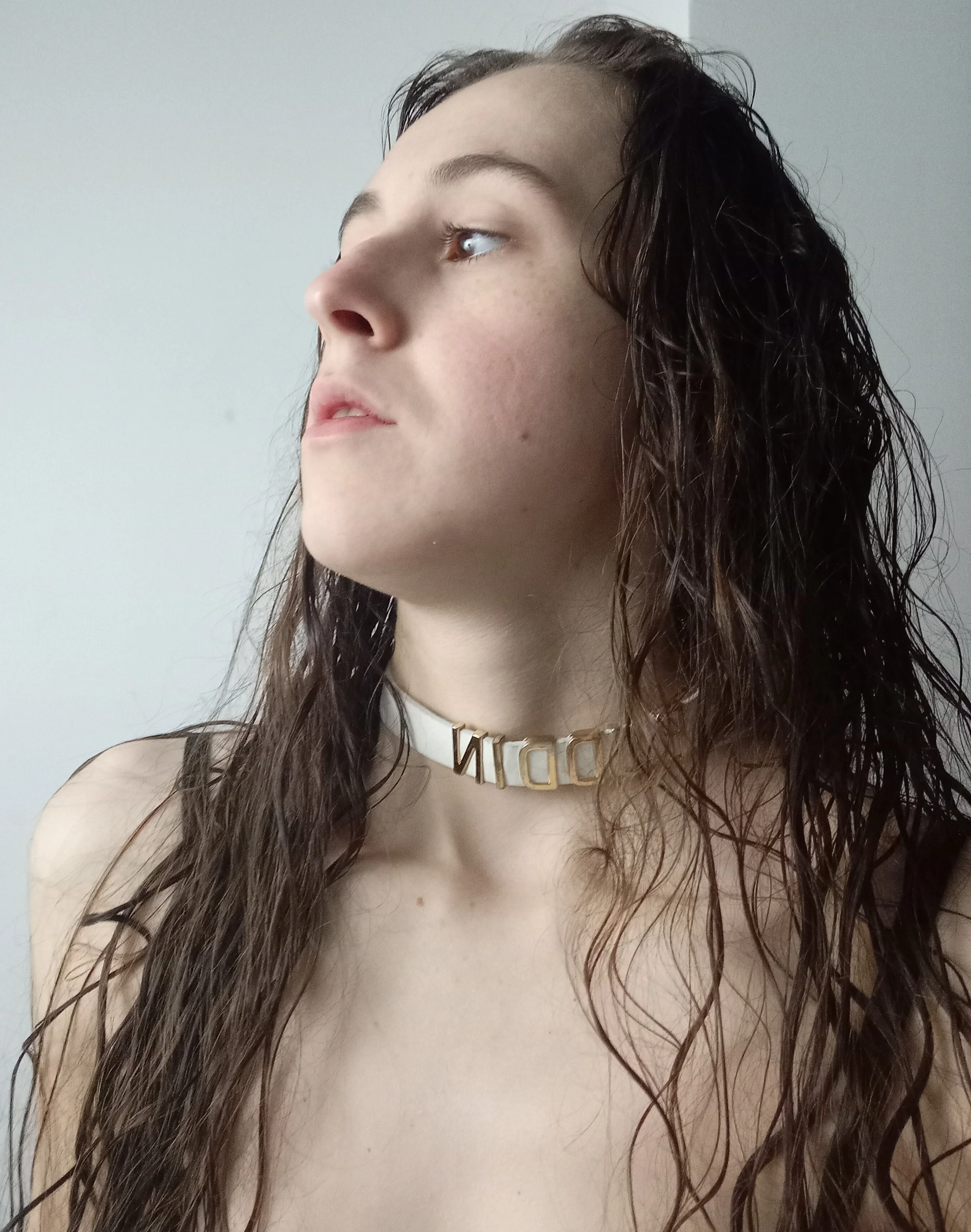 XXX Porn Photo of Nude MartiniiSelenna 72
