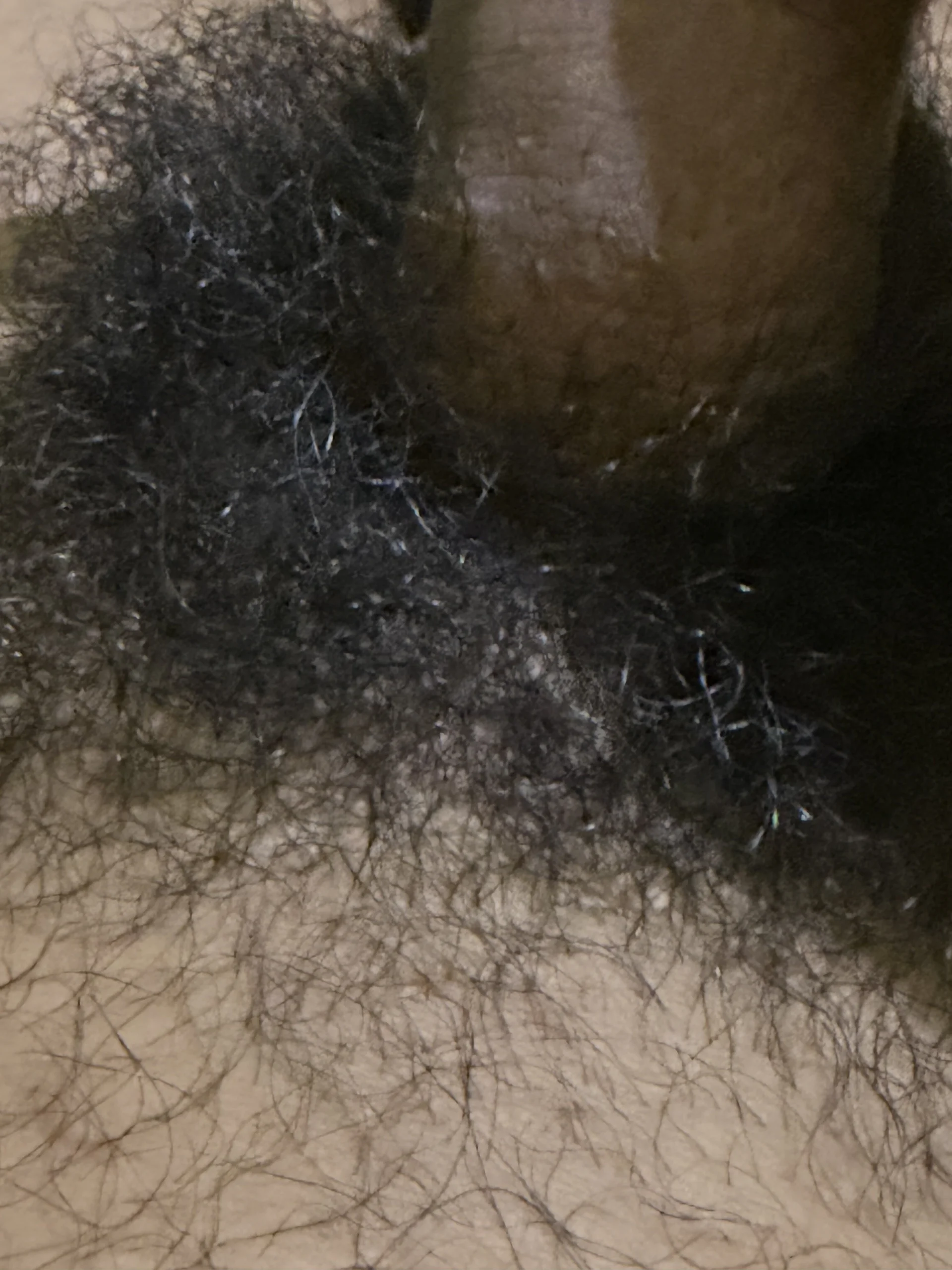 XXX Porn Photo of Nude AsianDickk7 5