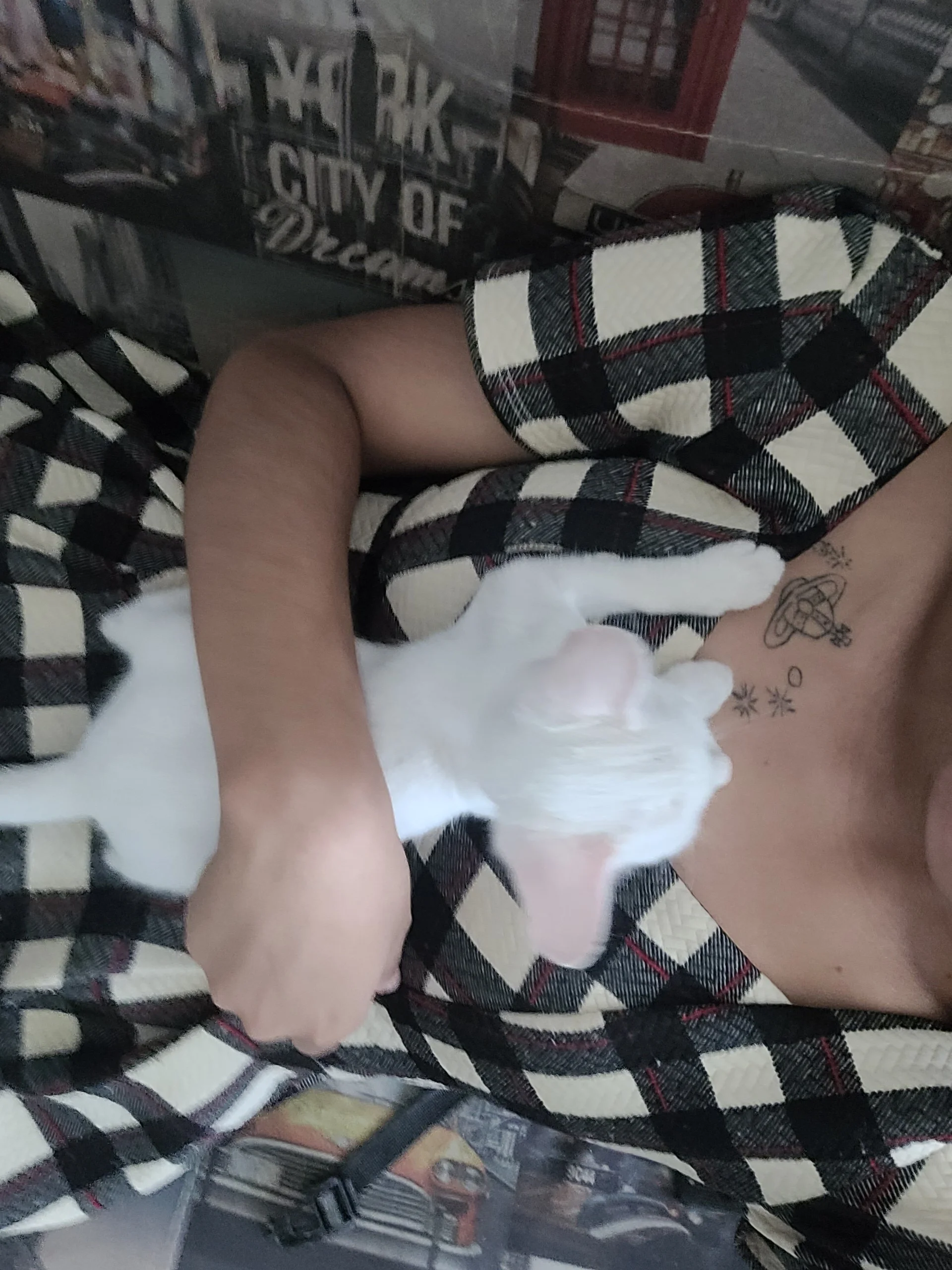 XXX Porn Photo of Nude Lovelyamyy 7