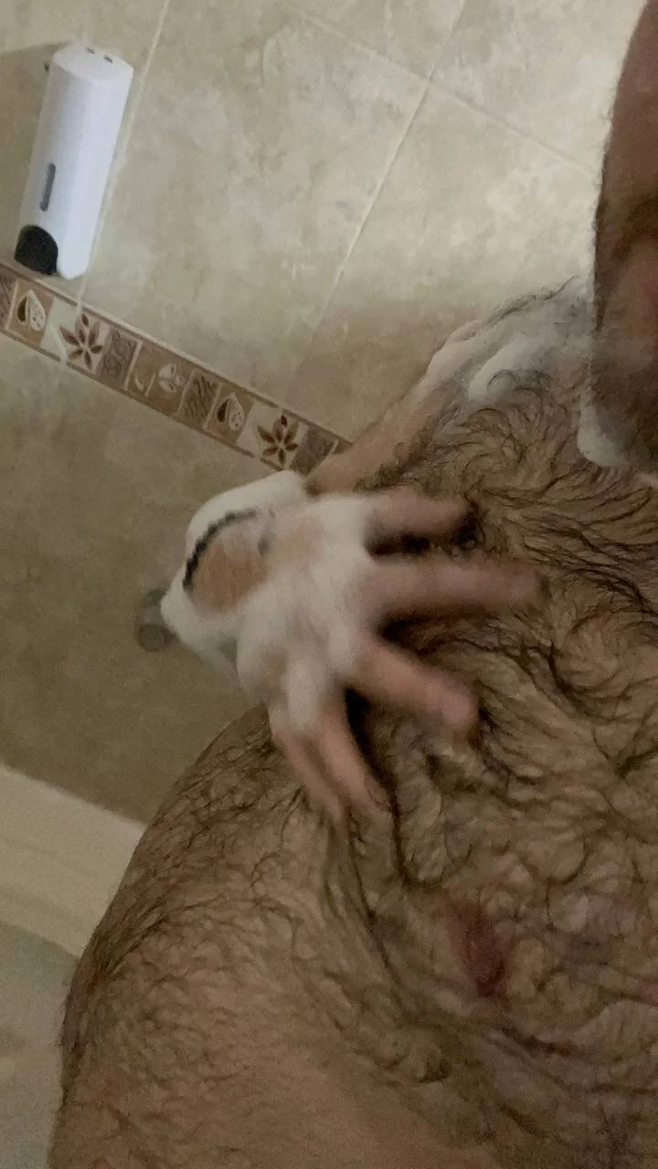 big_bearr