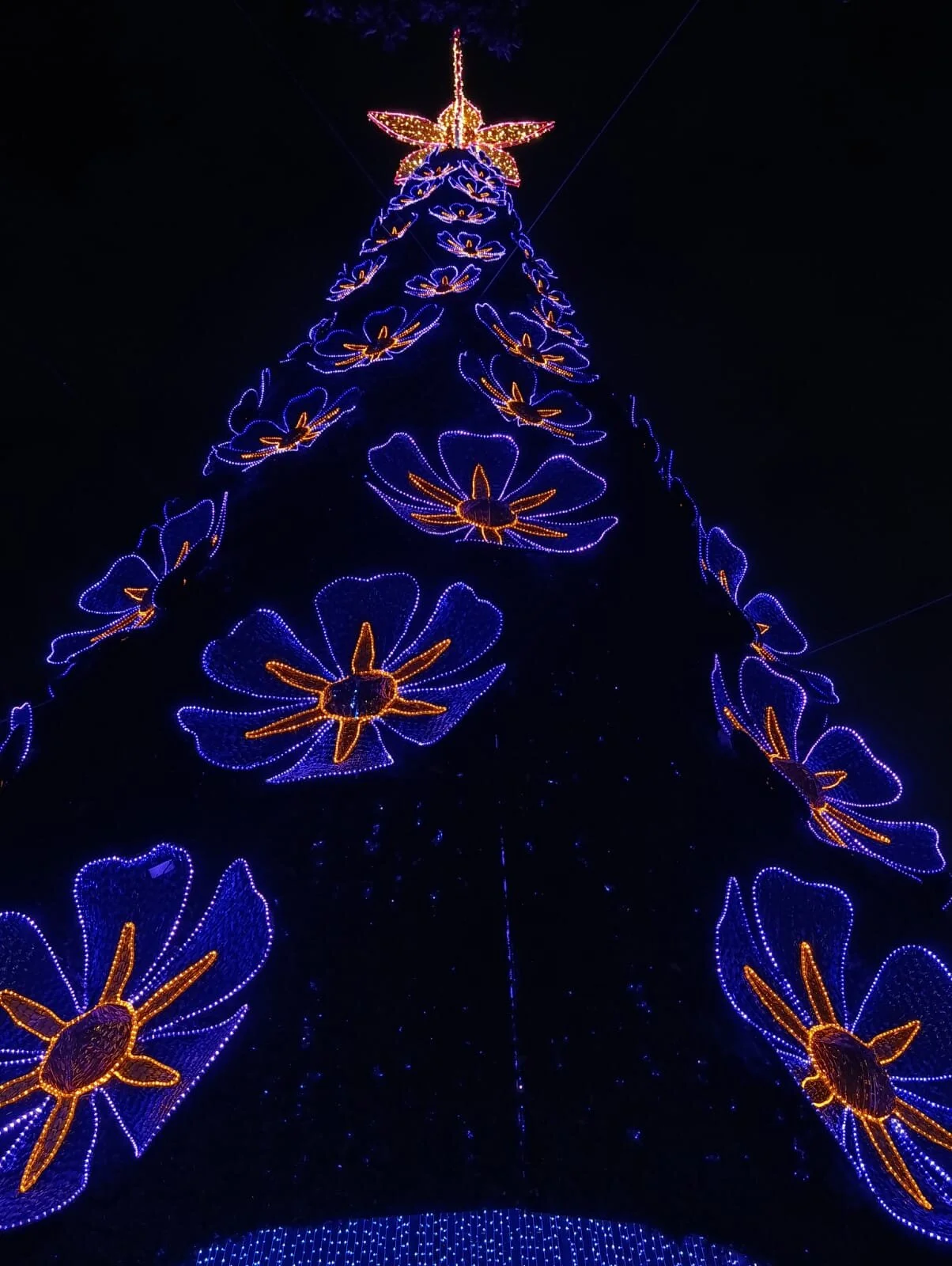 Shanntal_