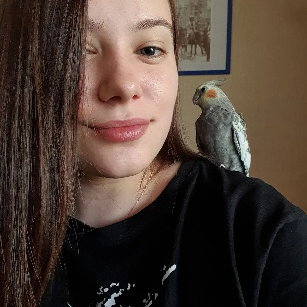 XXX Porn Photo of Nude SauvageBirdy 2