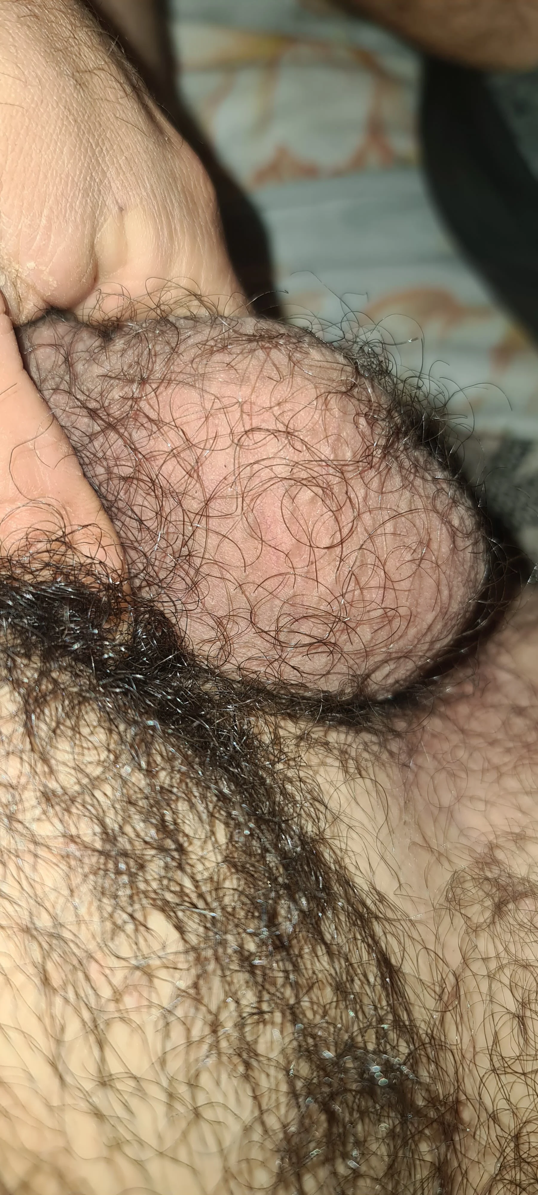 XXX Porn Photo of Nude wolfrot123 3