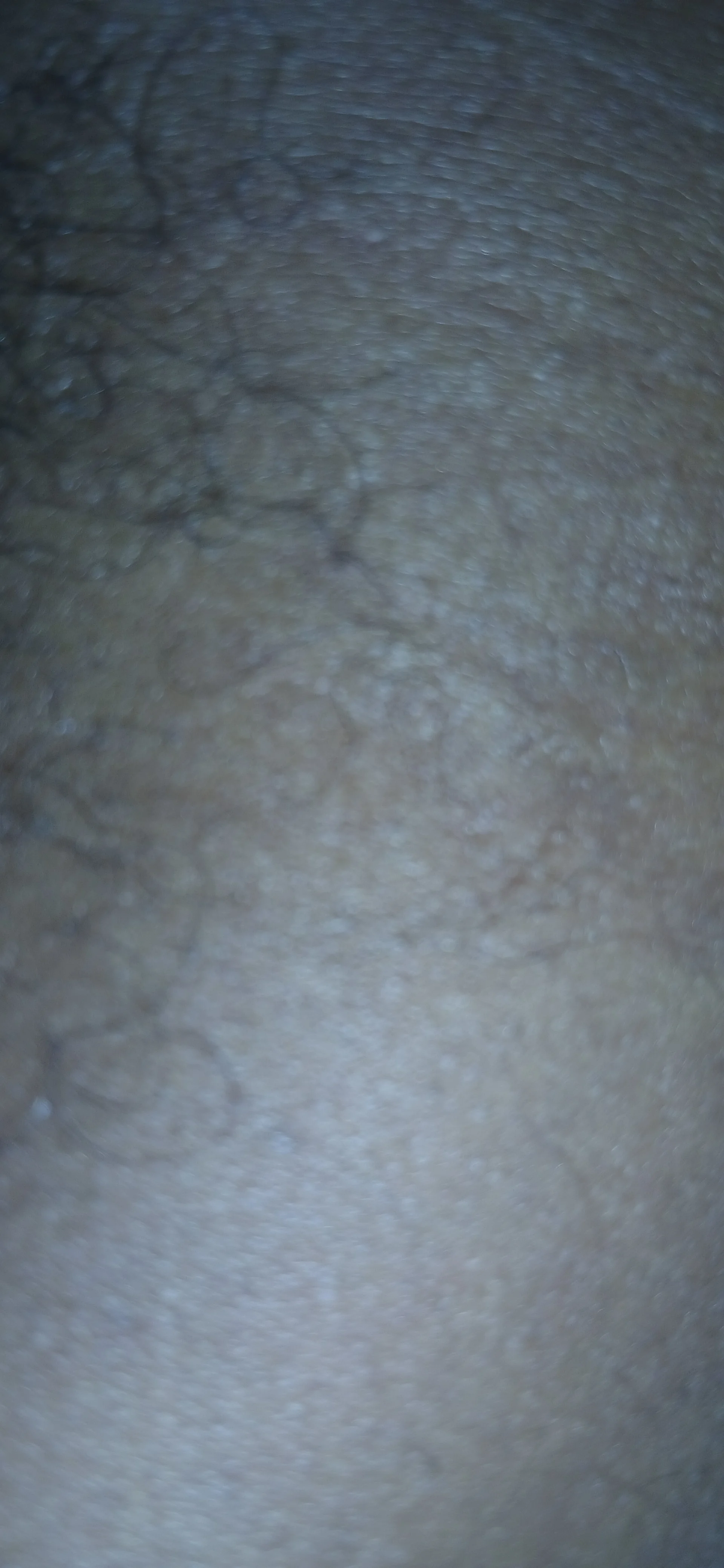 XXX Porn Photo of Nude jhbswto 6
