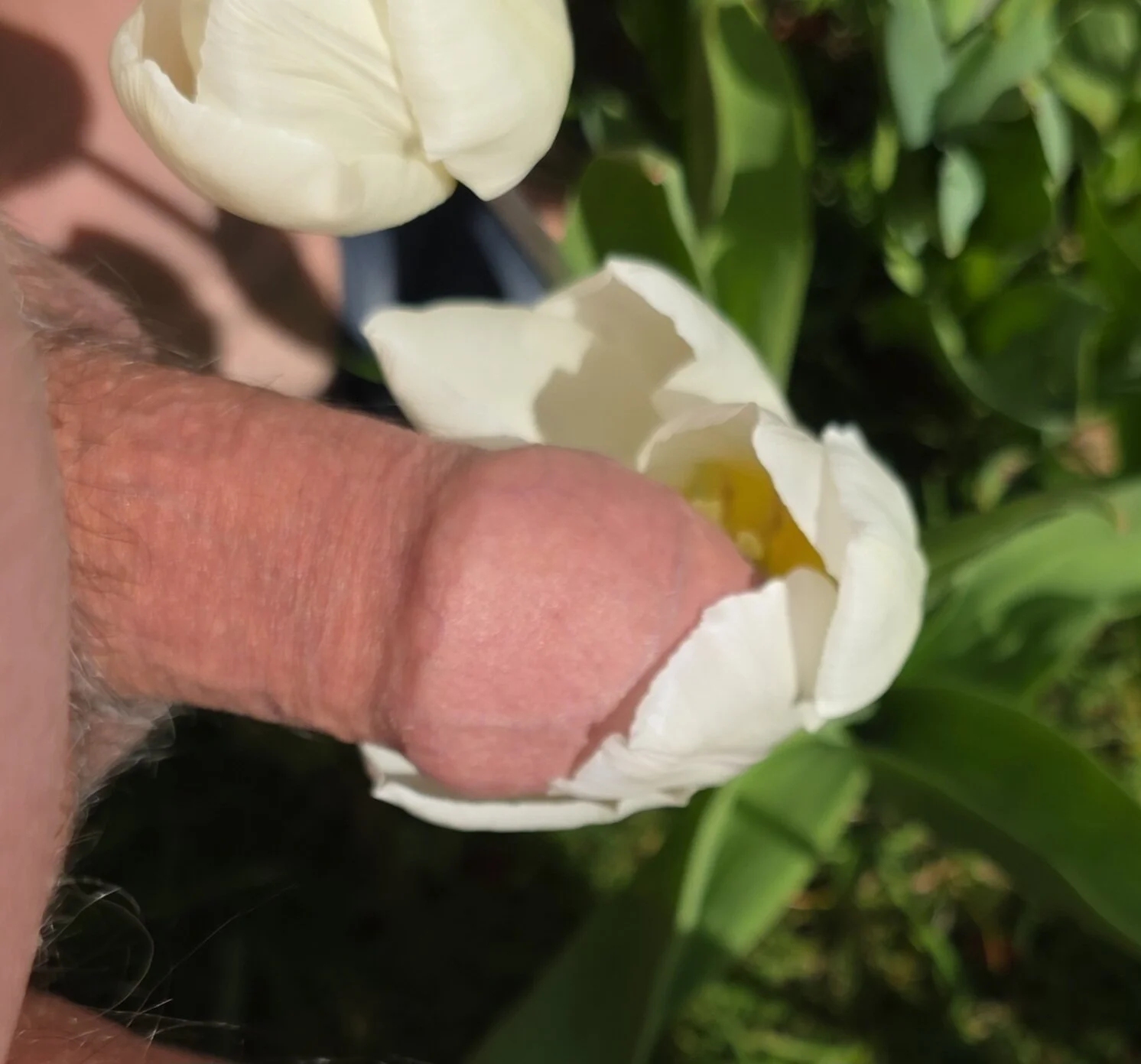 XXX Porn Photo of Nude sssuka 3