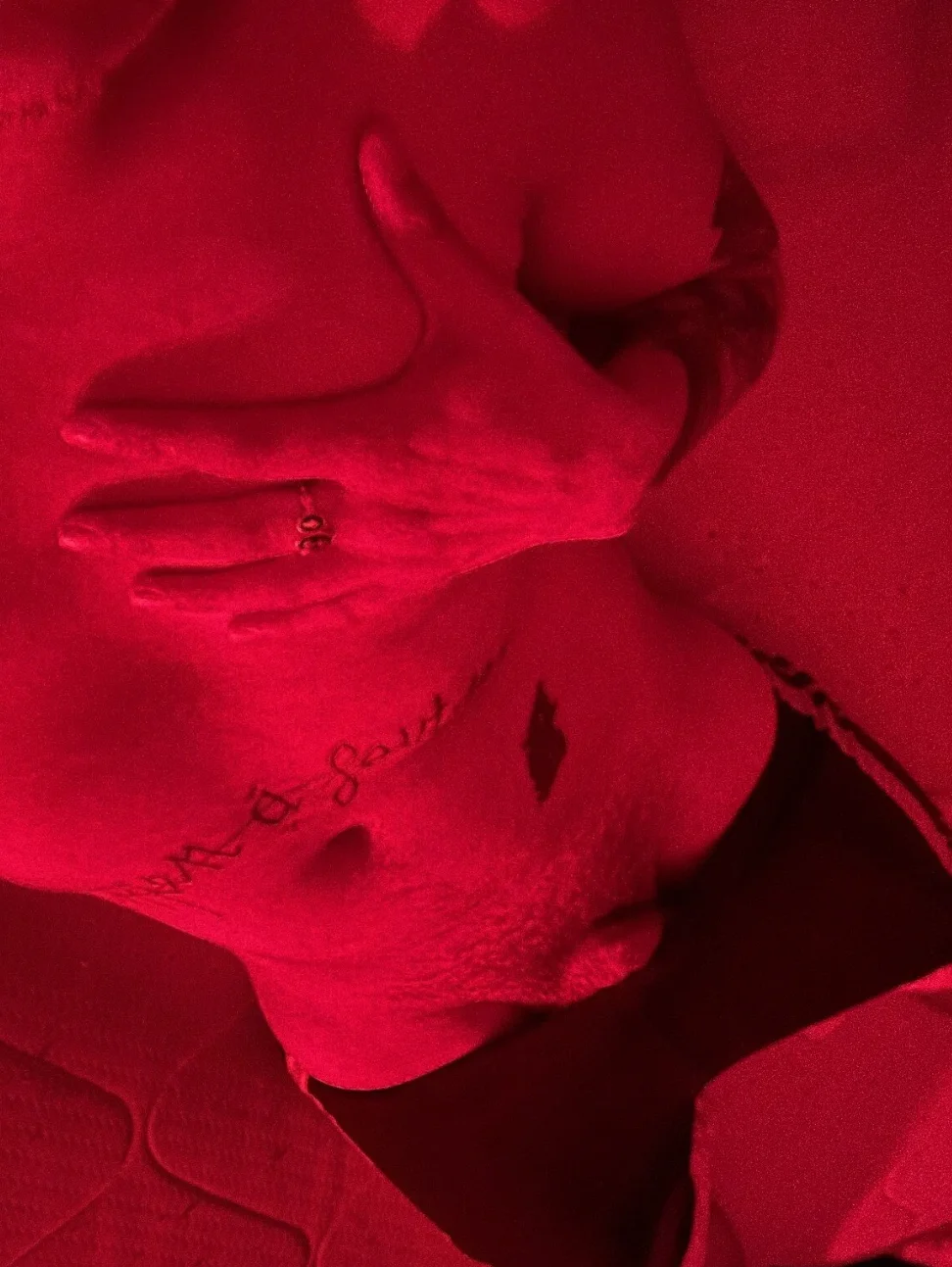 XXX Porn Photo of Nude Forthepleasur_ 1