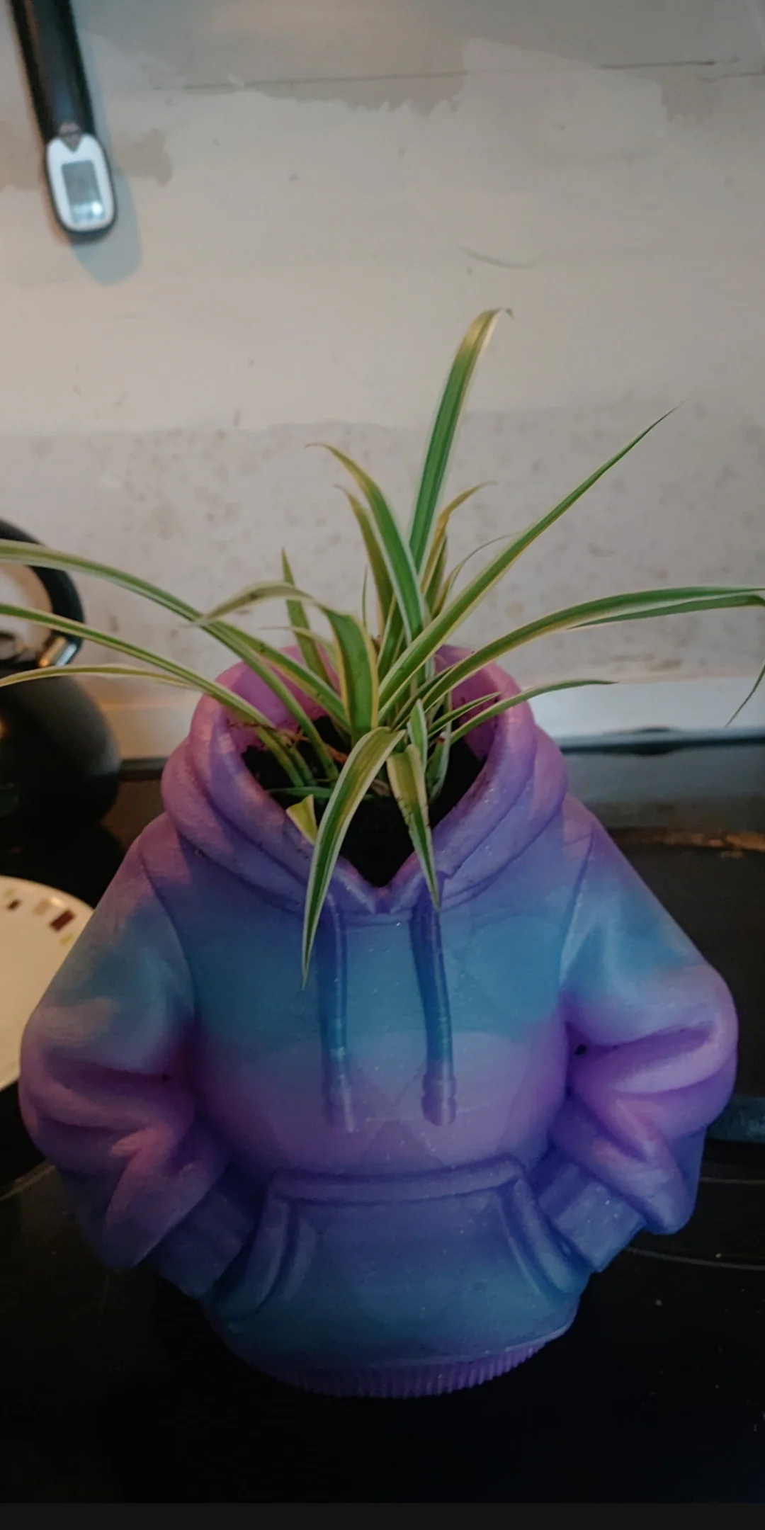 XXX Porn Photo of Nude Anonymousausage 33