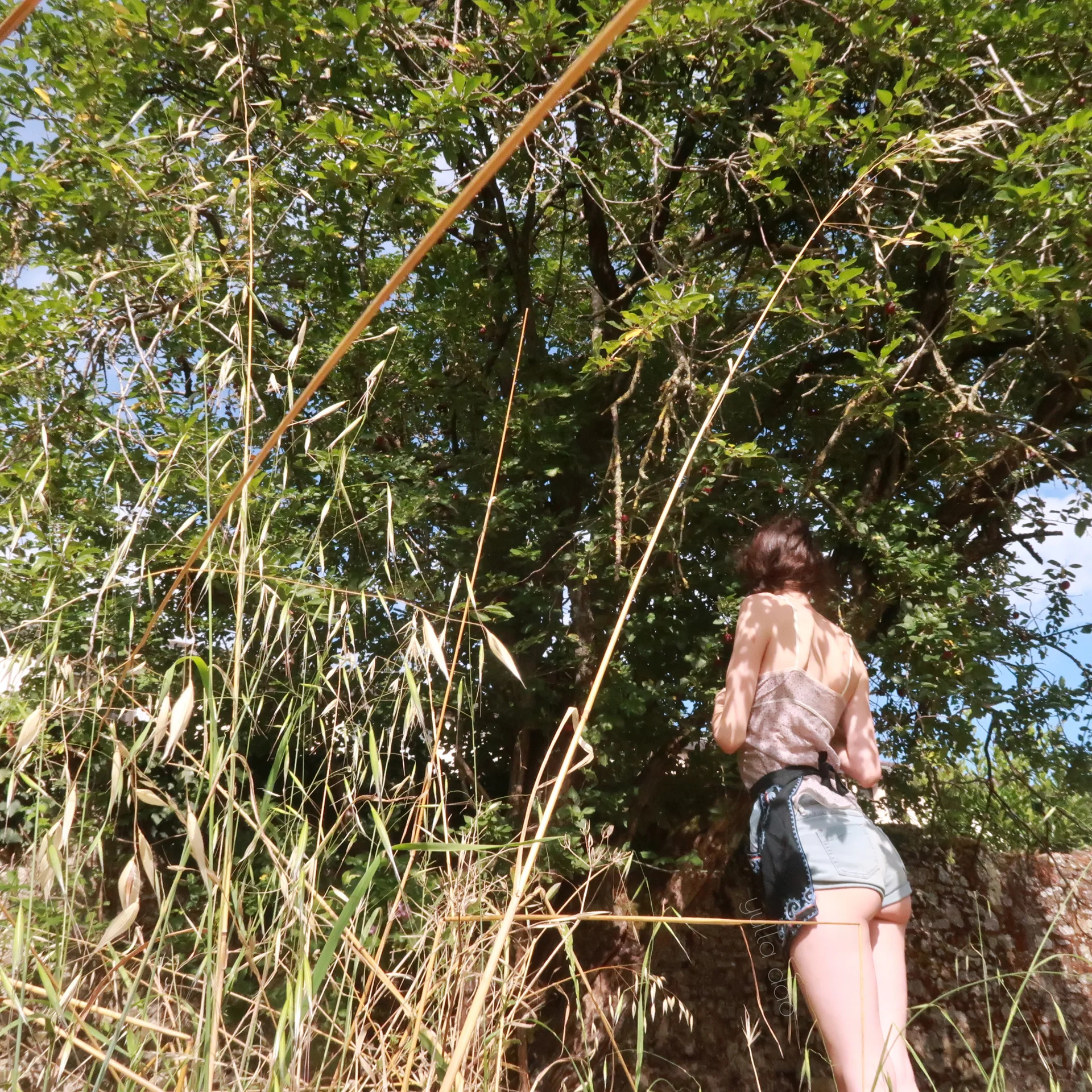 XXX Porn Photo of Nude yulladao 1576