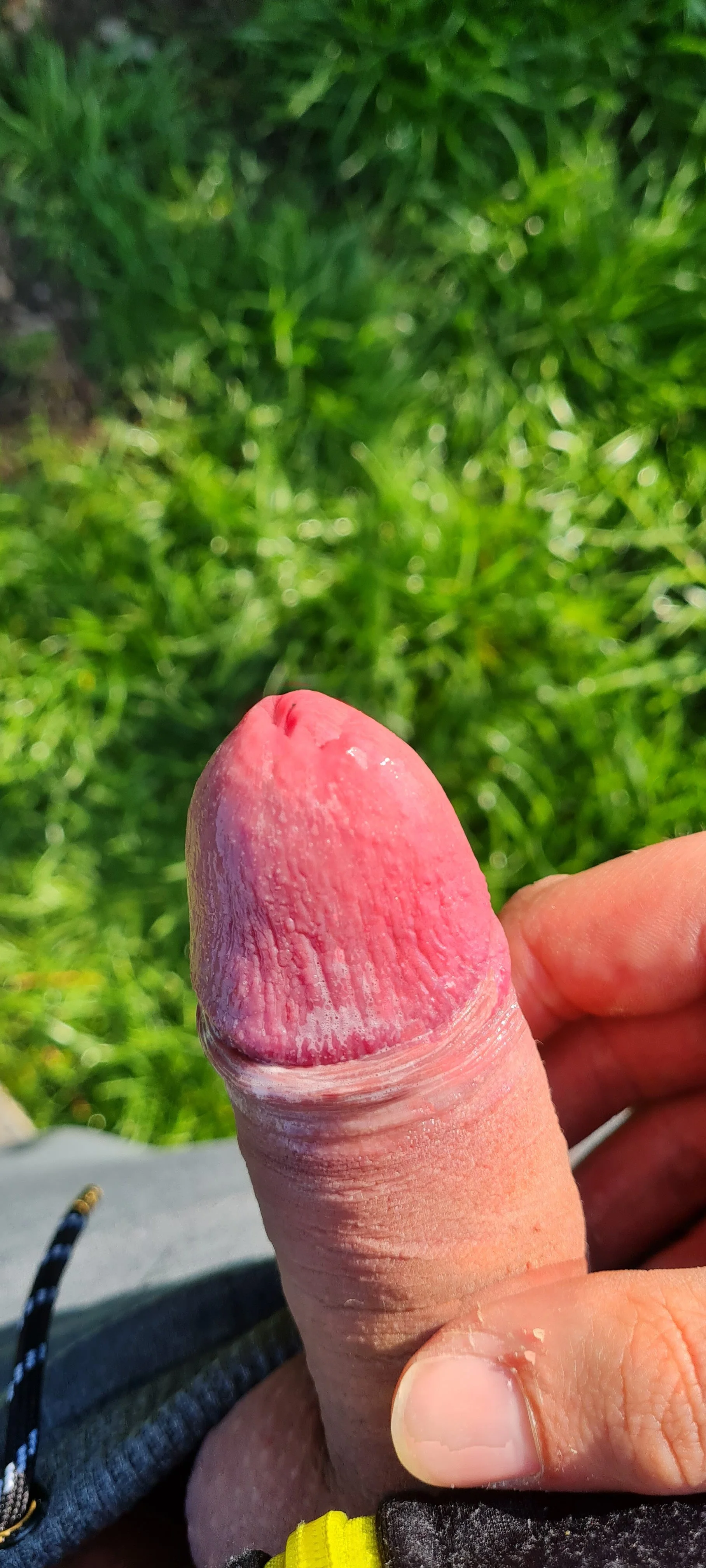 XXX Porn Photo of Nude xxxsvenxxx 3