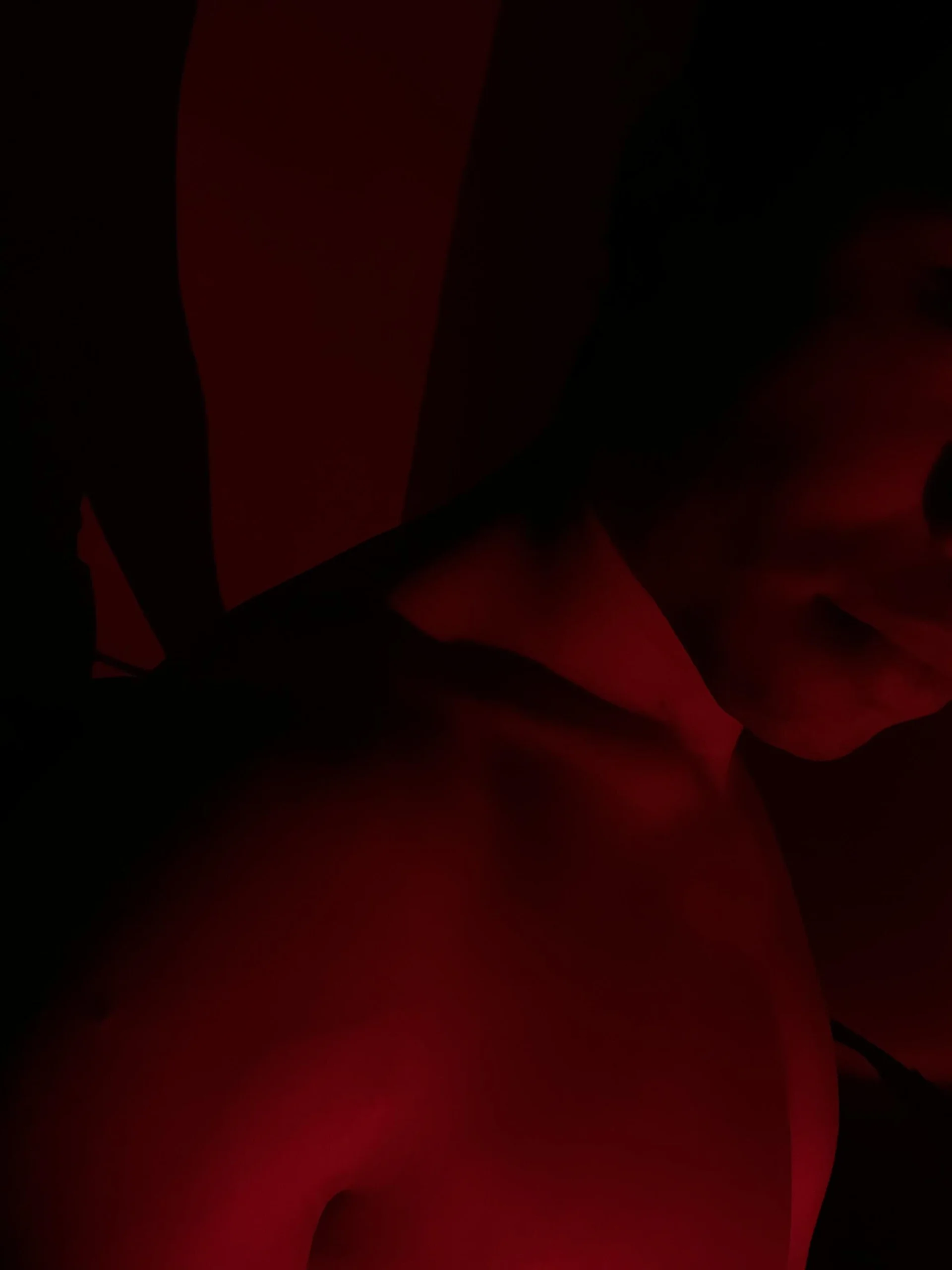 XXX Porn Photo of Nude obzidyan 13