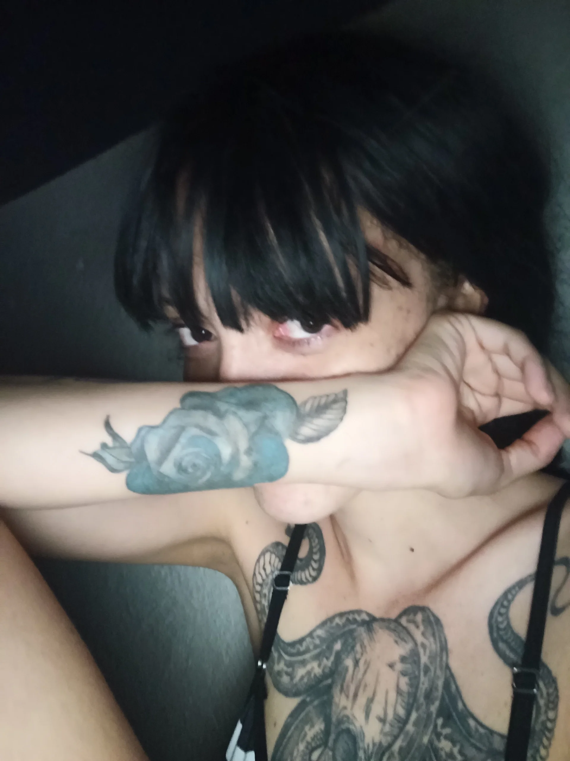 XXX Porn Photo of Nude barbara_anal_squirt_ 1376