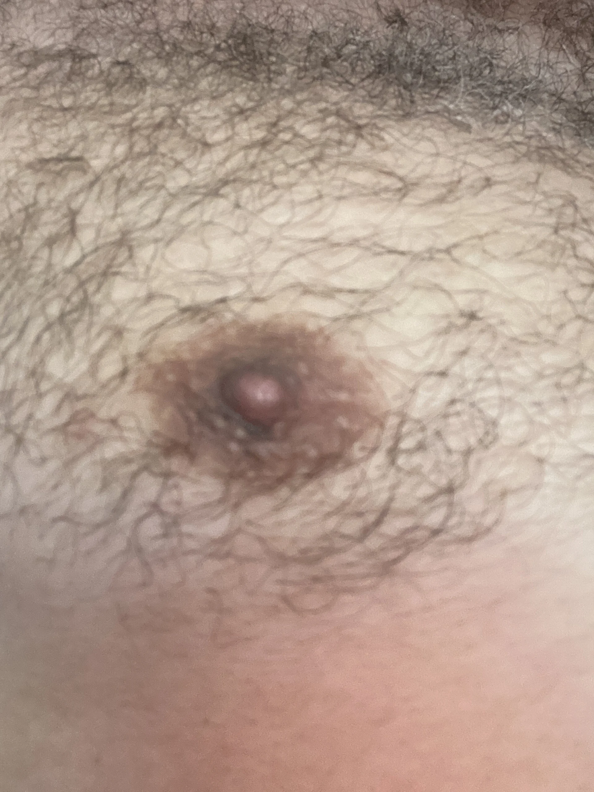 XXX Porn Photo of Nude santagreen 7