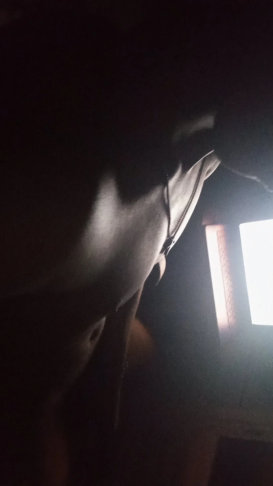 XXX Porn Photo of Nude abel_xox 8