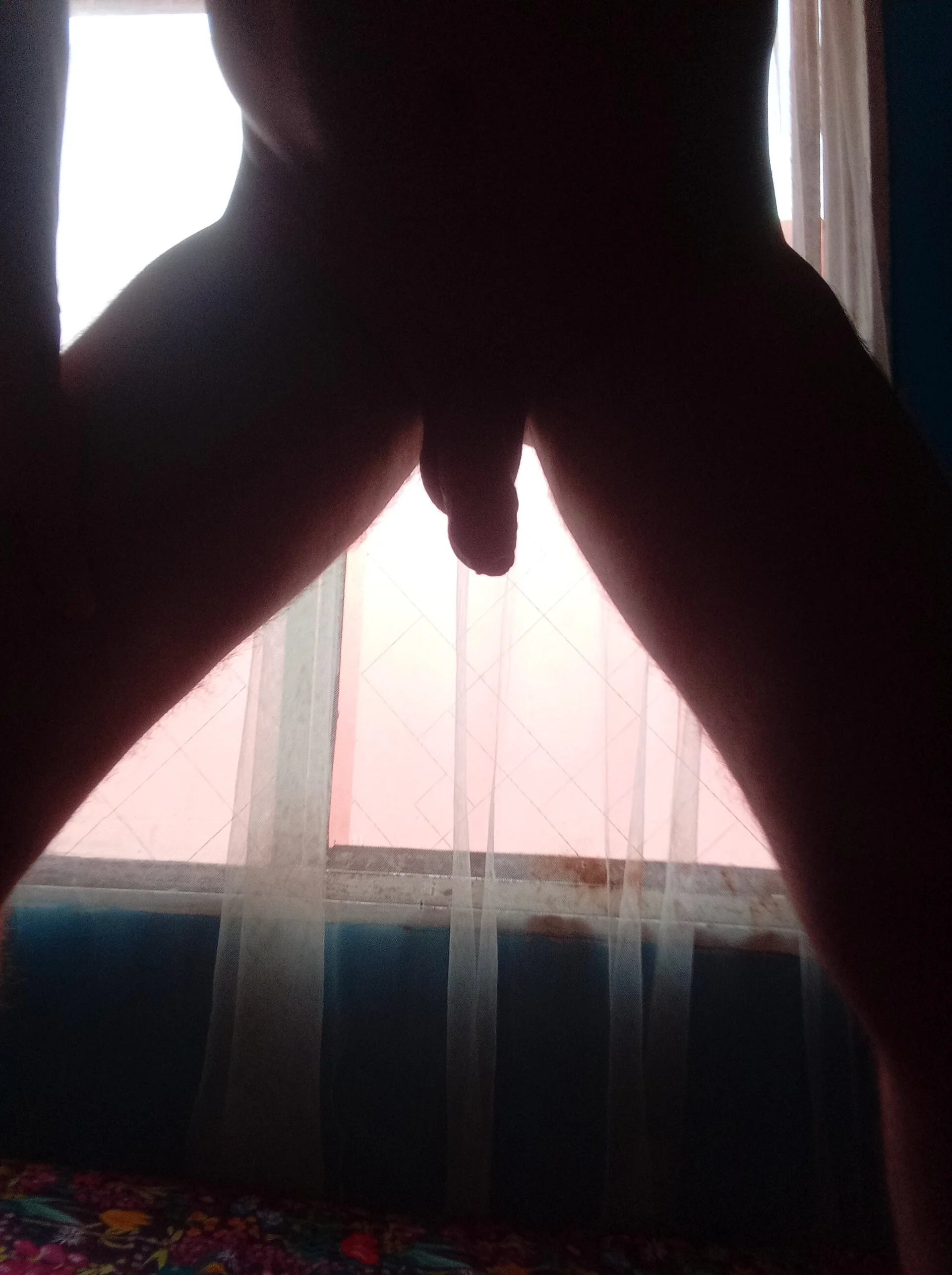 XXX Porn Photo of Nude dickbar1 2
