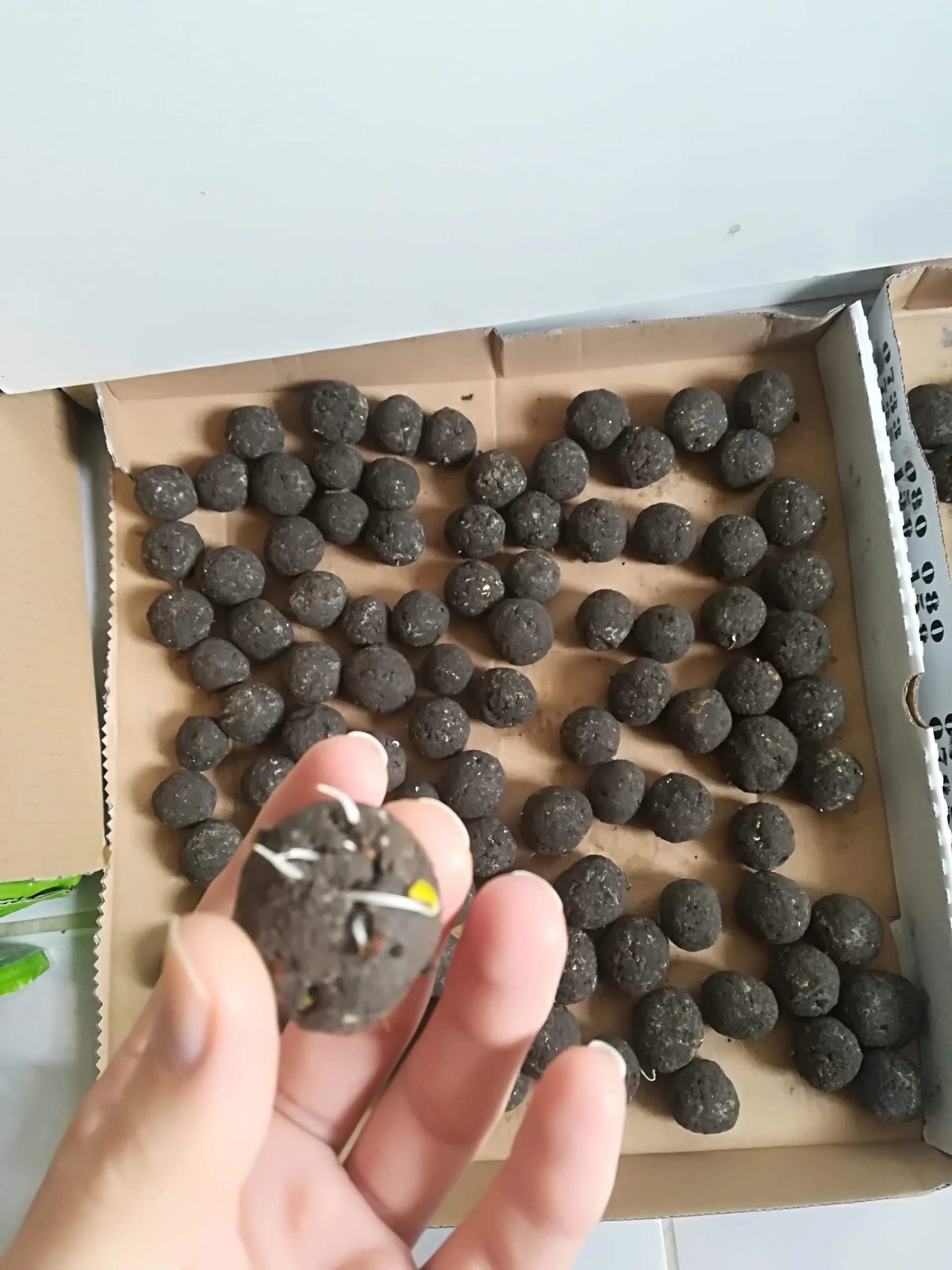 XXX Porn Photo of Nude SoleilSustainable 3