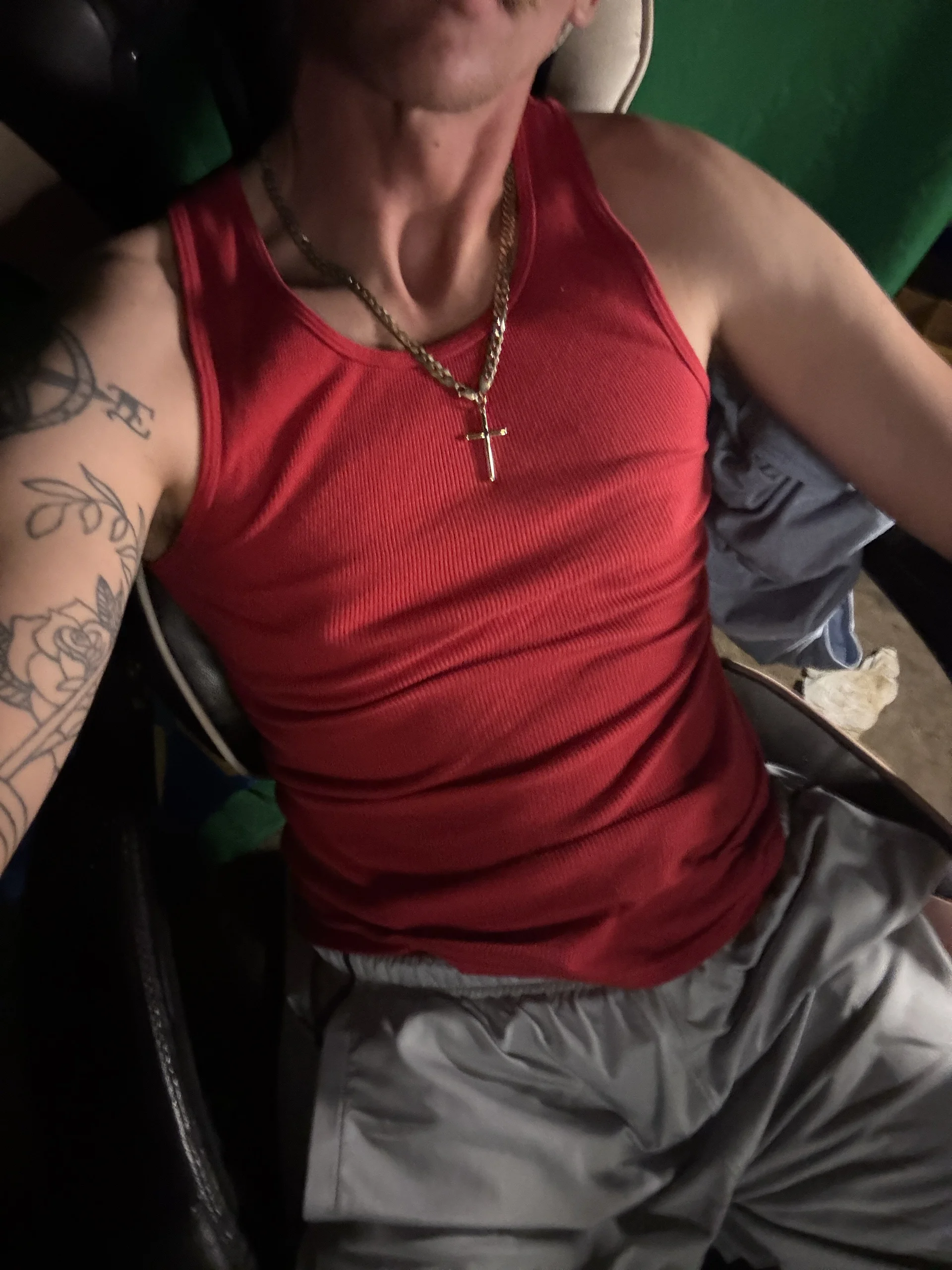 AverageMaleJay