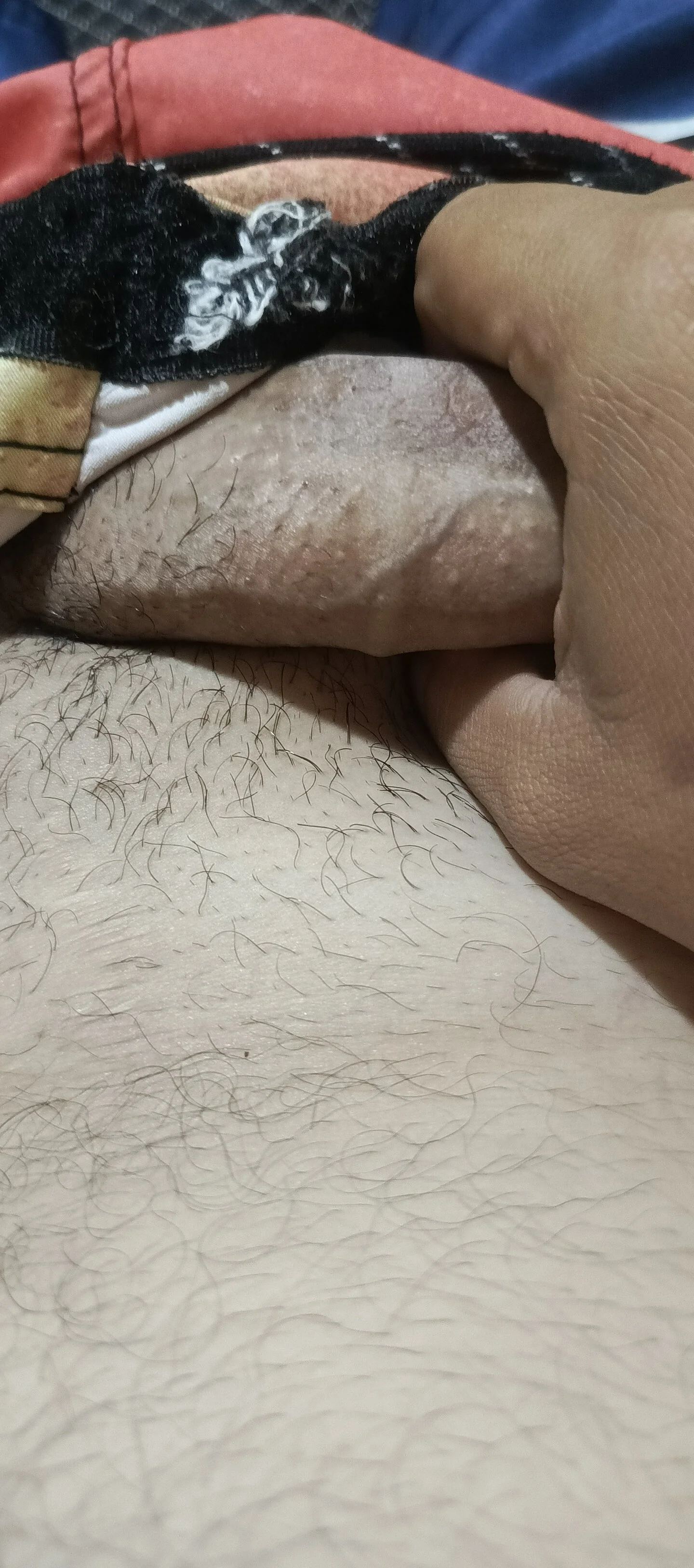 XXX Porn Photo of Nude Depreedador 2