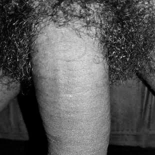 XXX Porn Photo of Nude RentalCharmer 3