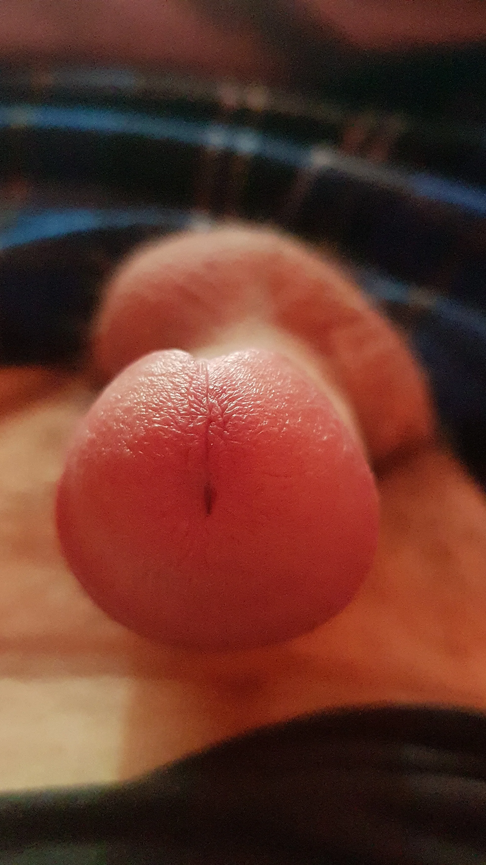 XXX Porn Photo of Nude Andyxx69 2