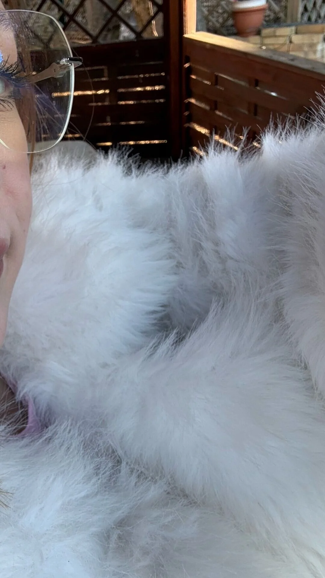 XXX Porn Photo of Nude BeatriceBinoche 91