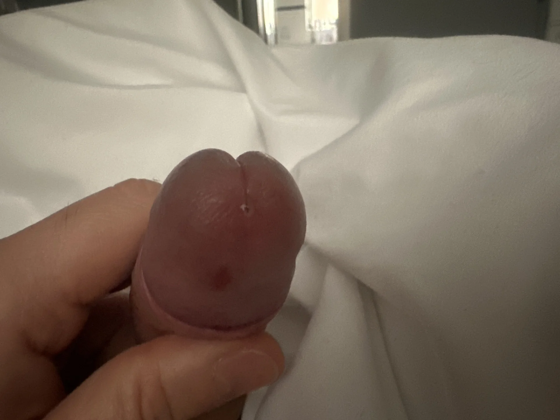 XXX Porn Photo of Nude shyfucker23 31