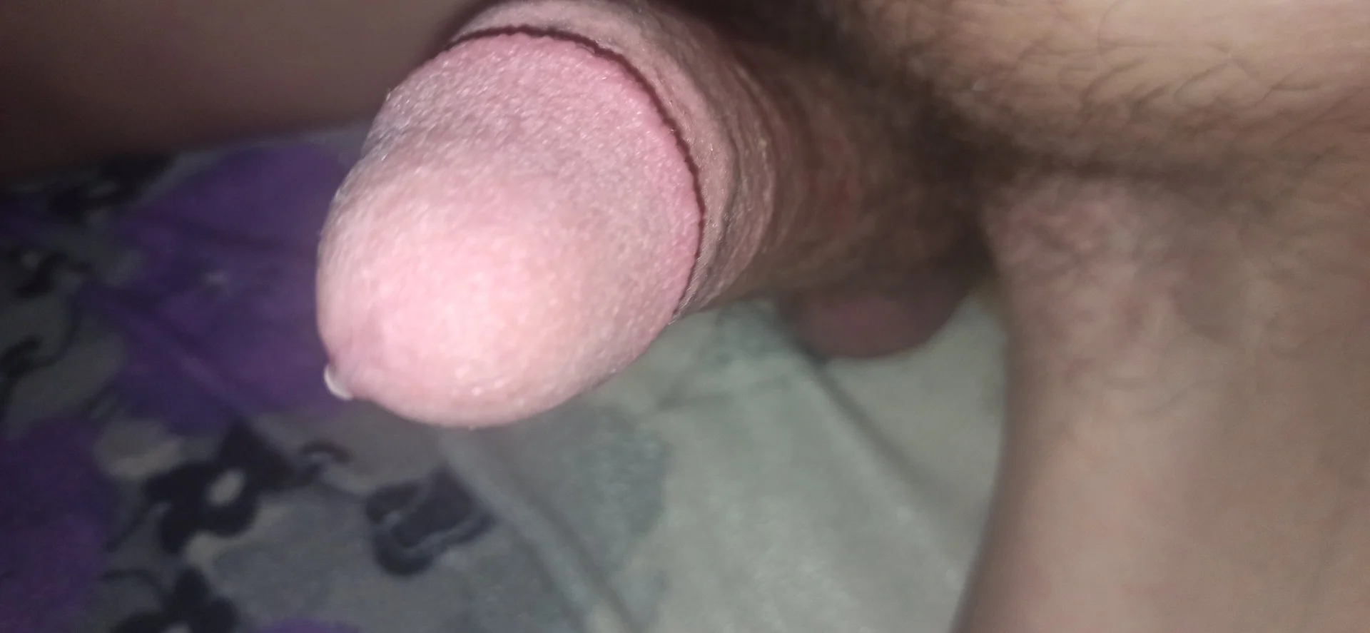 XXX Porn Photo of Nude Zayd_Ali-G 7