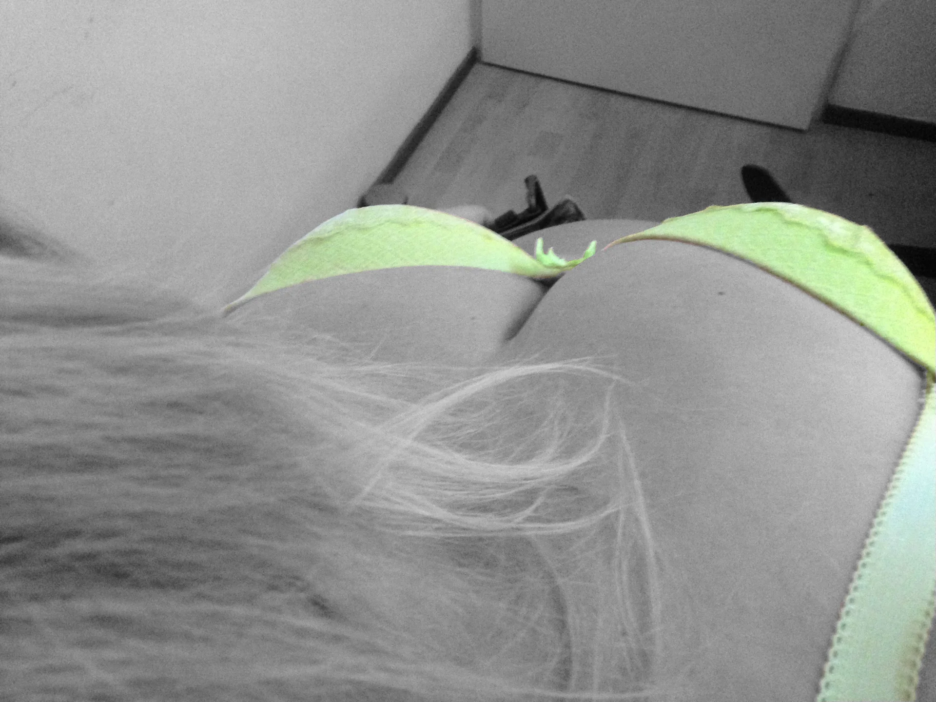 XXX Porn Photo of Nude NikkiHolland 19