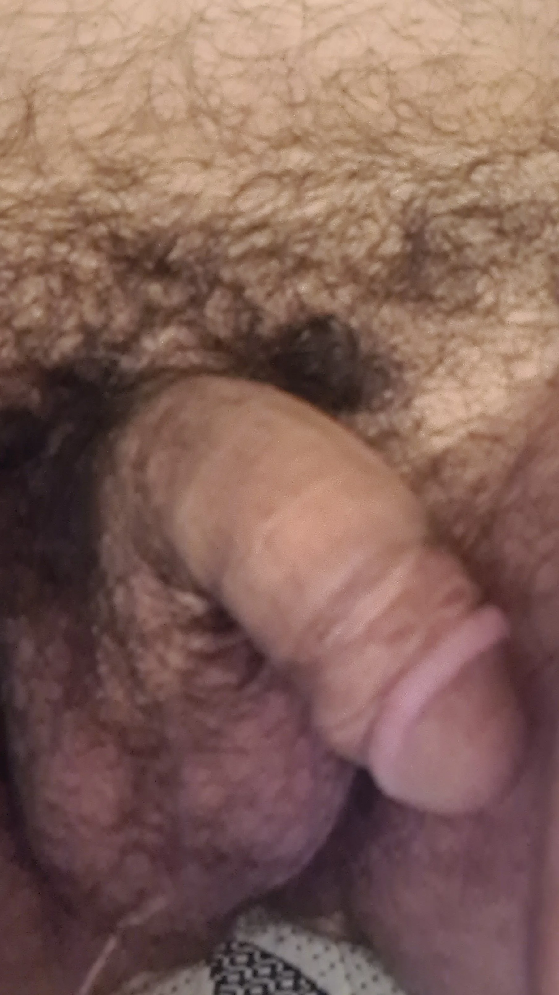 XXX Porn Photo of Nude wolfrot123 5