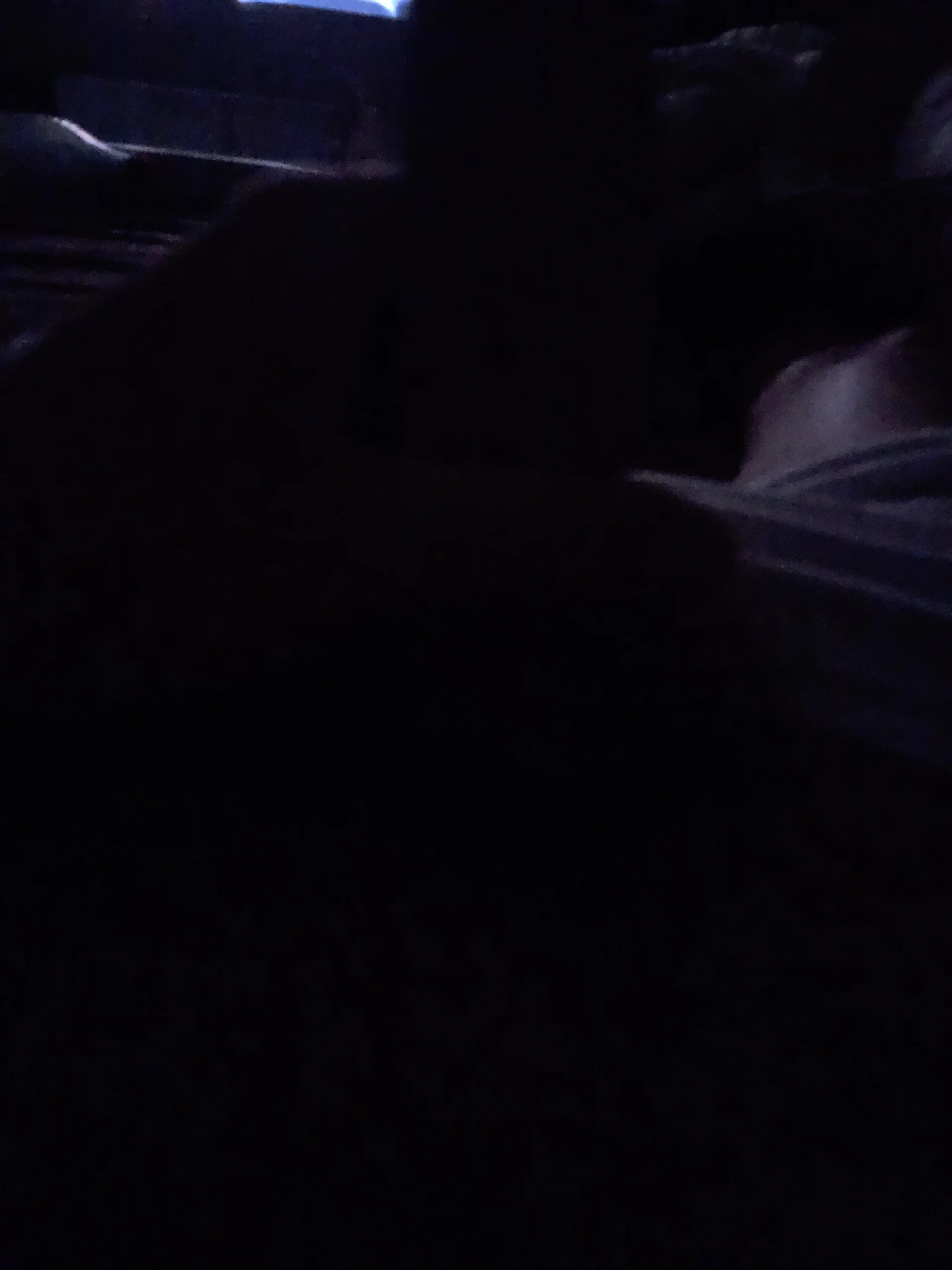 XXX Porn Photo of Nude Franksinatrq 4