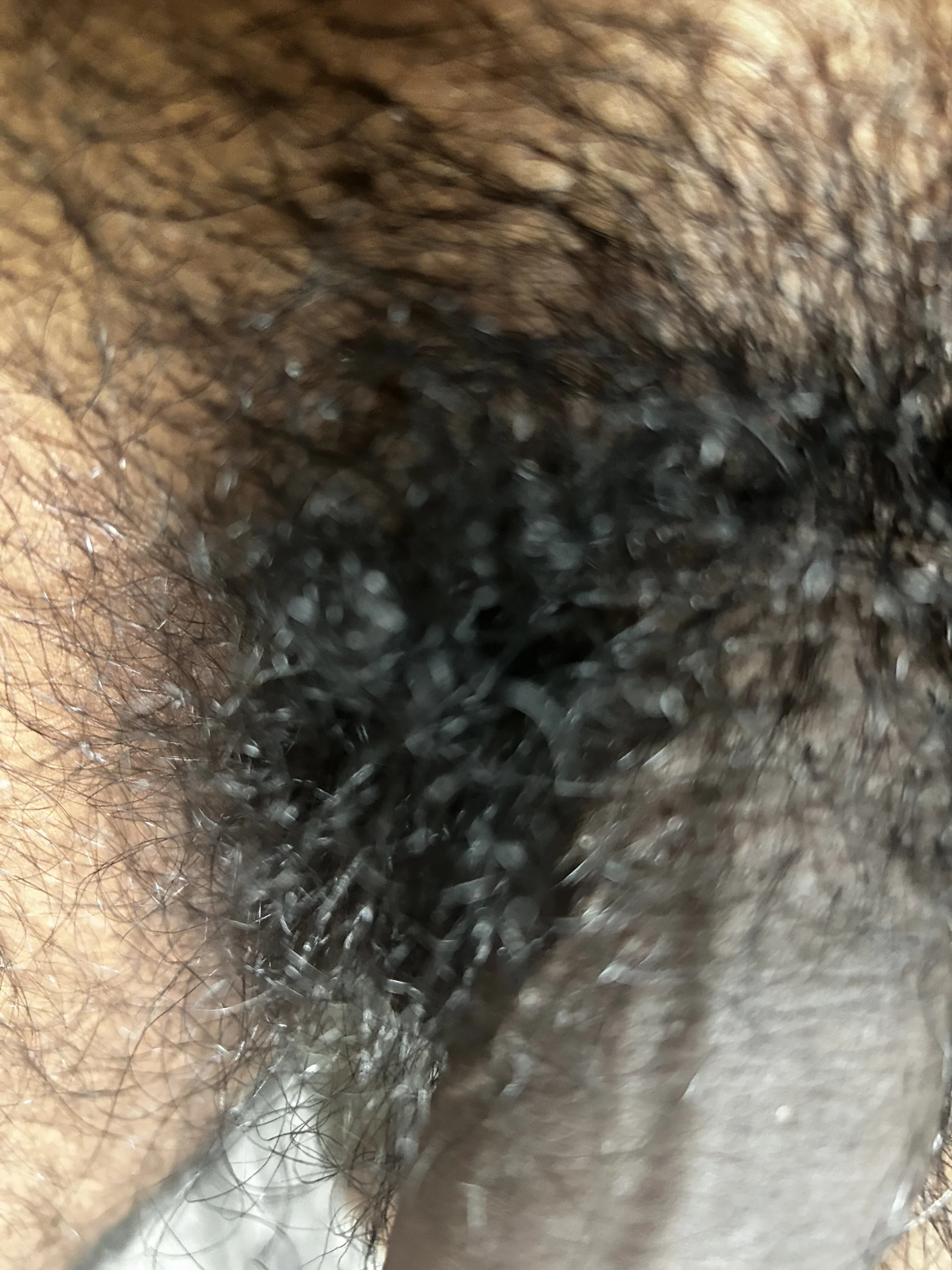 XXX Porn Photo of Nude JonesD280825 3