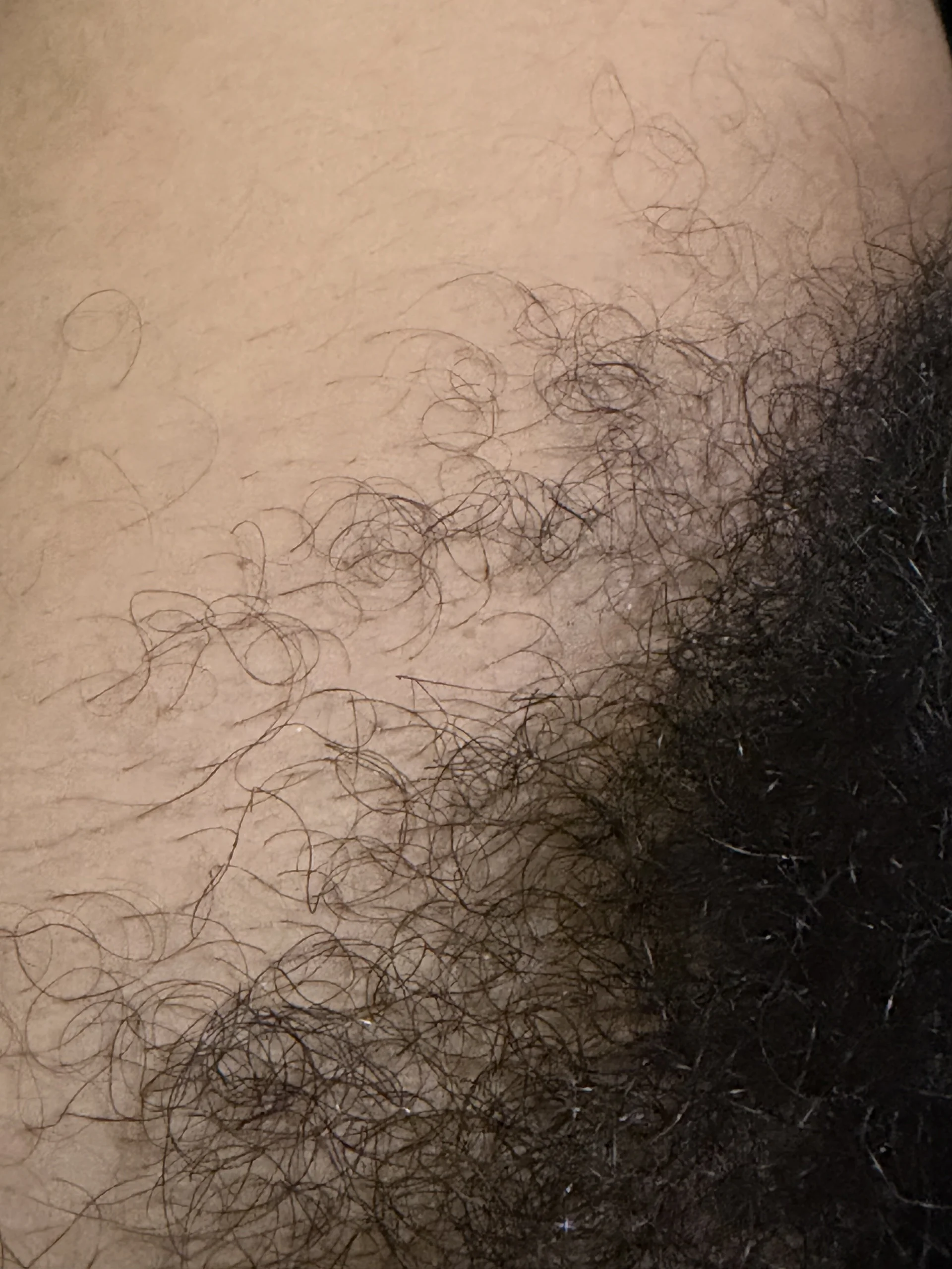 XXX Porn Photo of Nude AsianDickk7 4