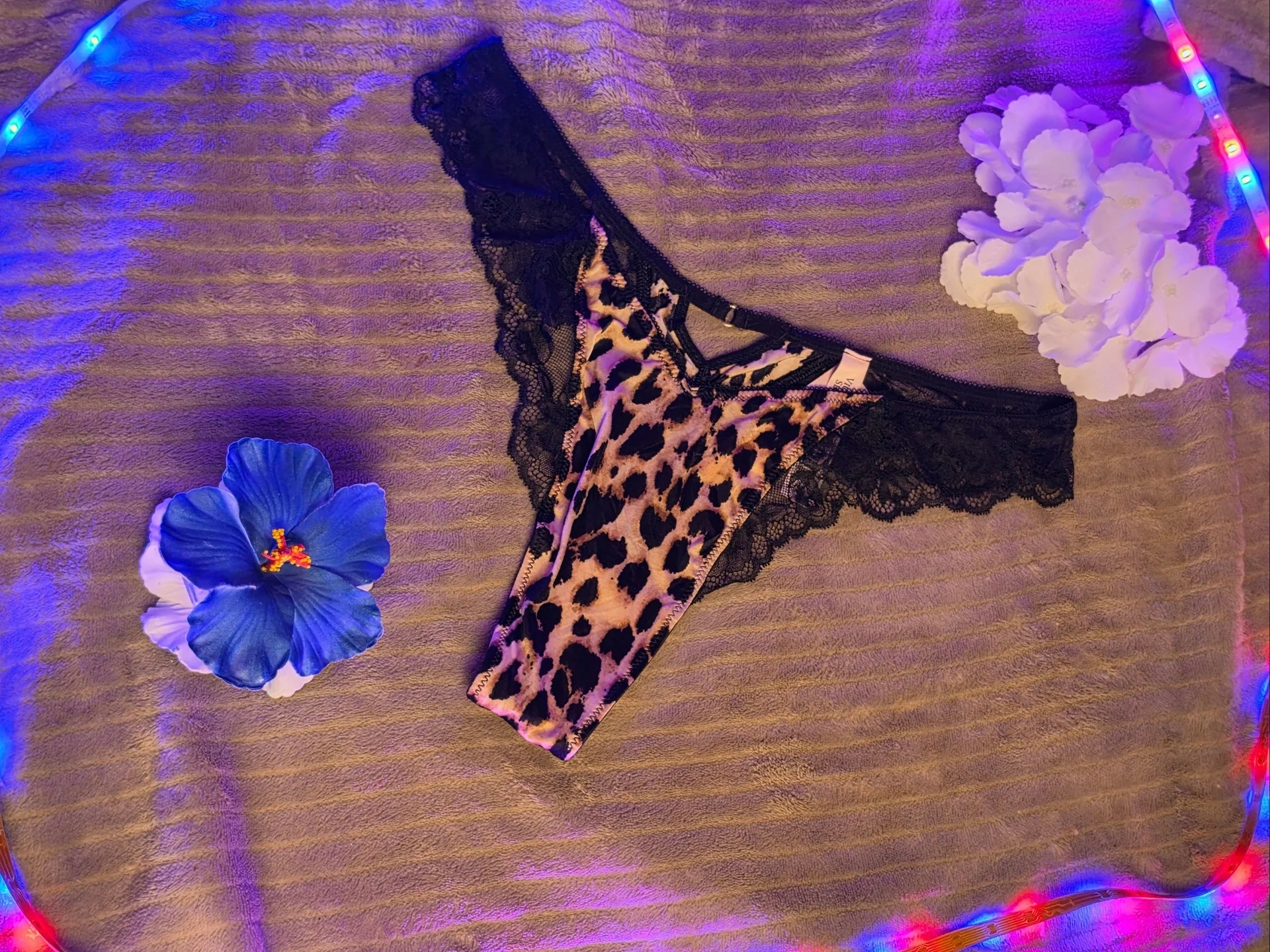 XXX Porn Photo of Nude KristiBloom 33