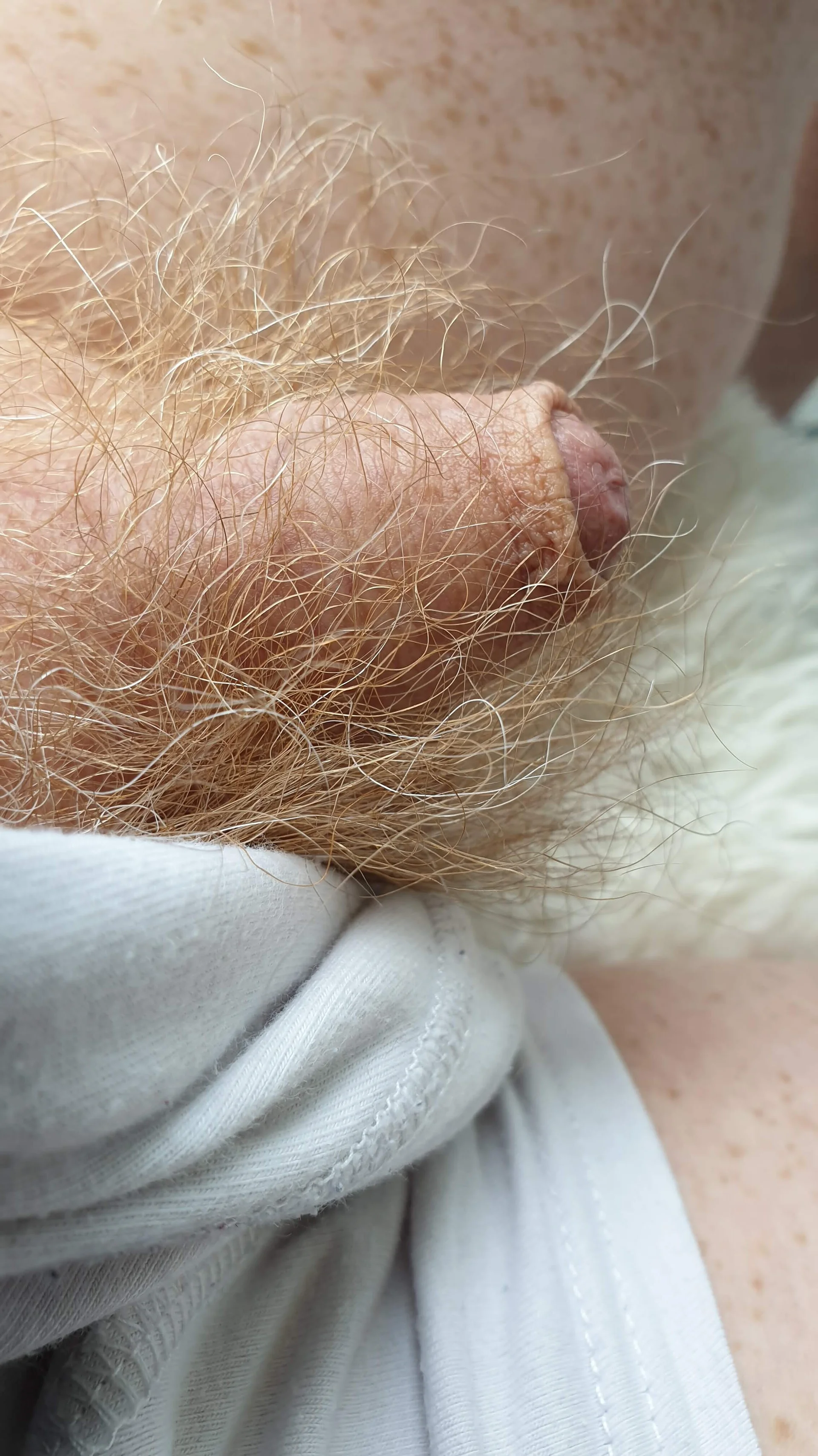 XXX Porn Photo of Nude Redhairy4u 15