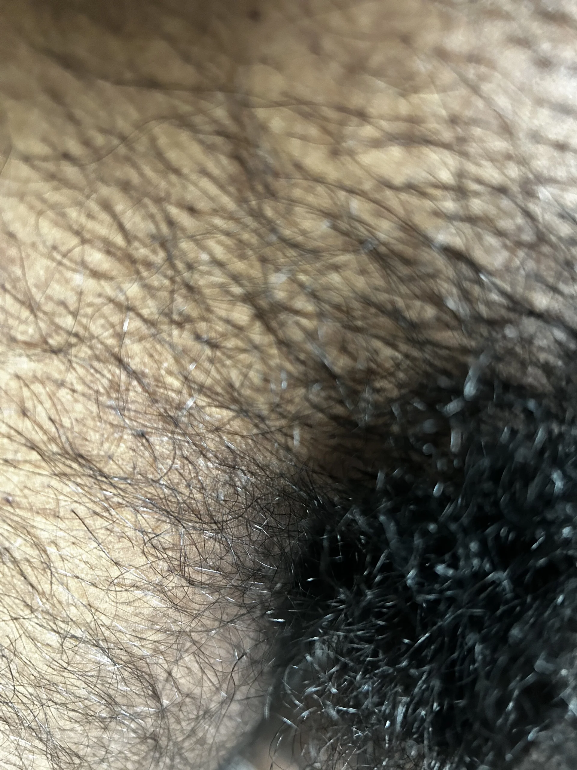 XXX Porn Photo of Nude JonesD280825 6