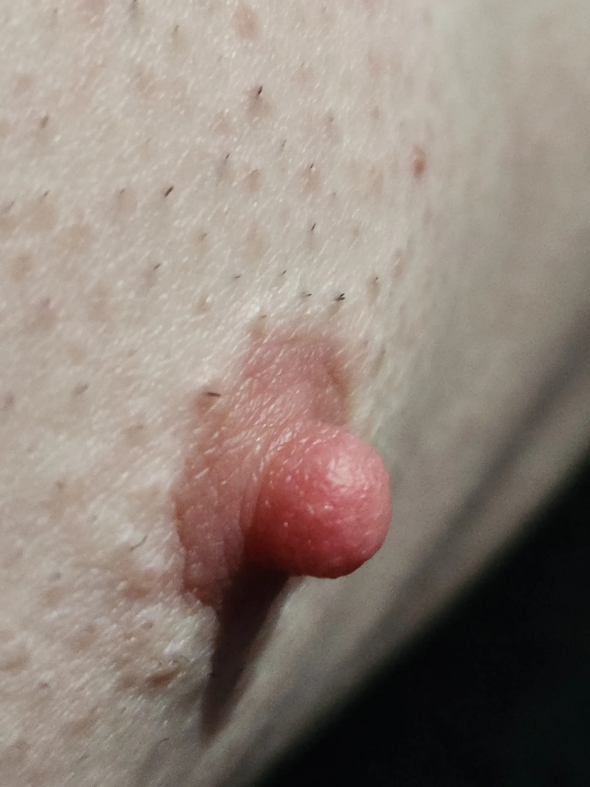 XXX Porn Photo of Nude jjdirty6996 7