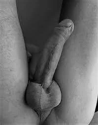 XXX Porn Photo of Nude big_daddy2506 3