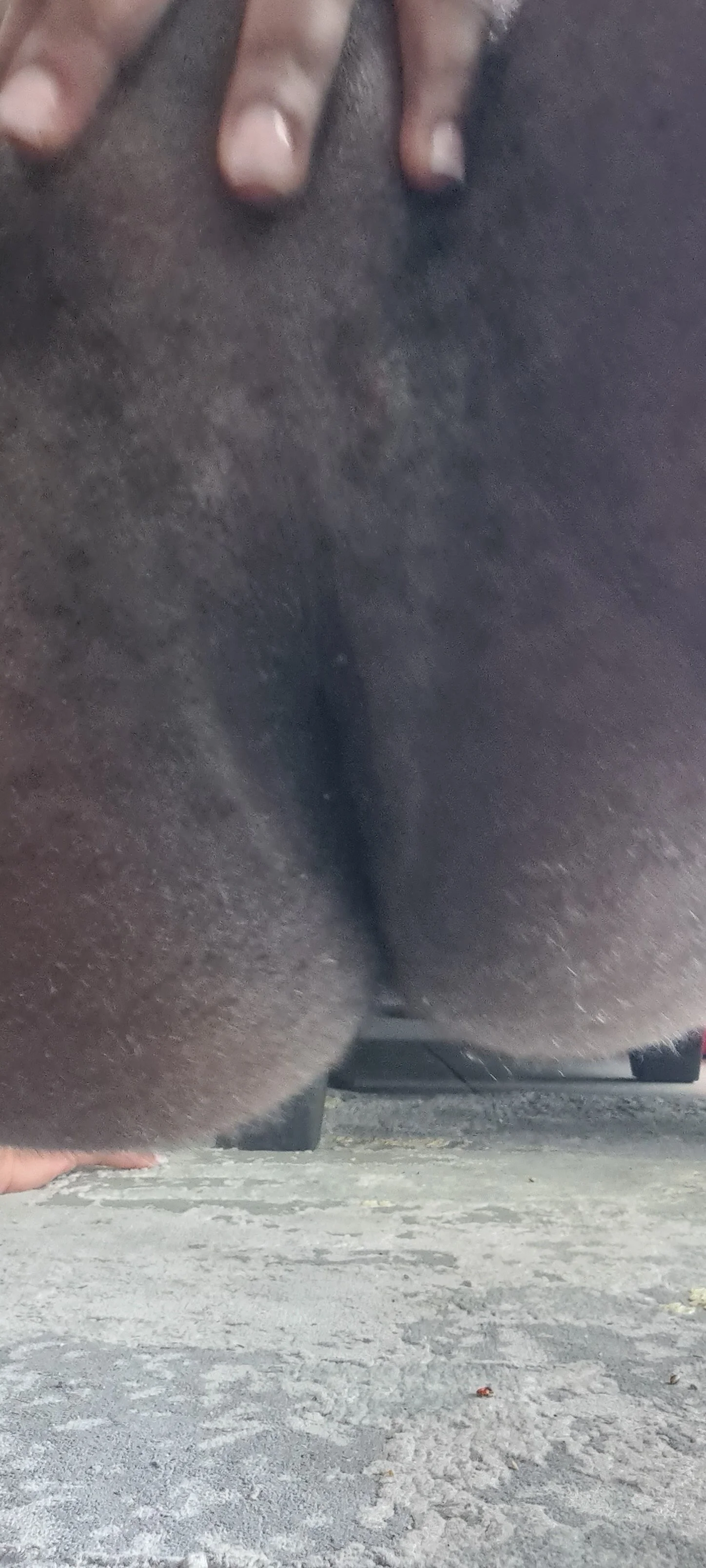 XXX Porn Photo of Nude _juicyass_ 1